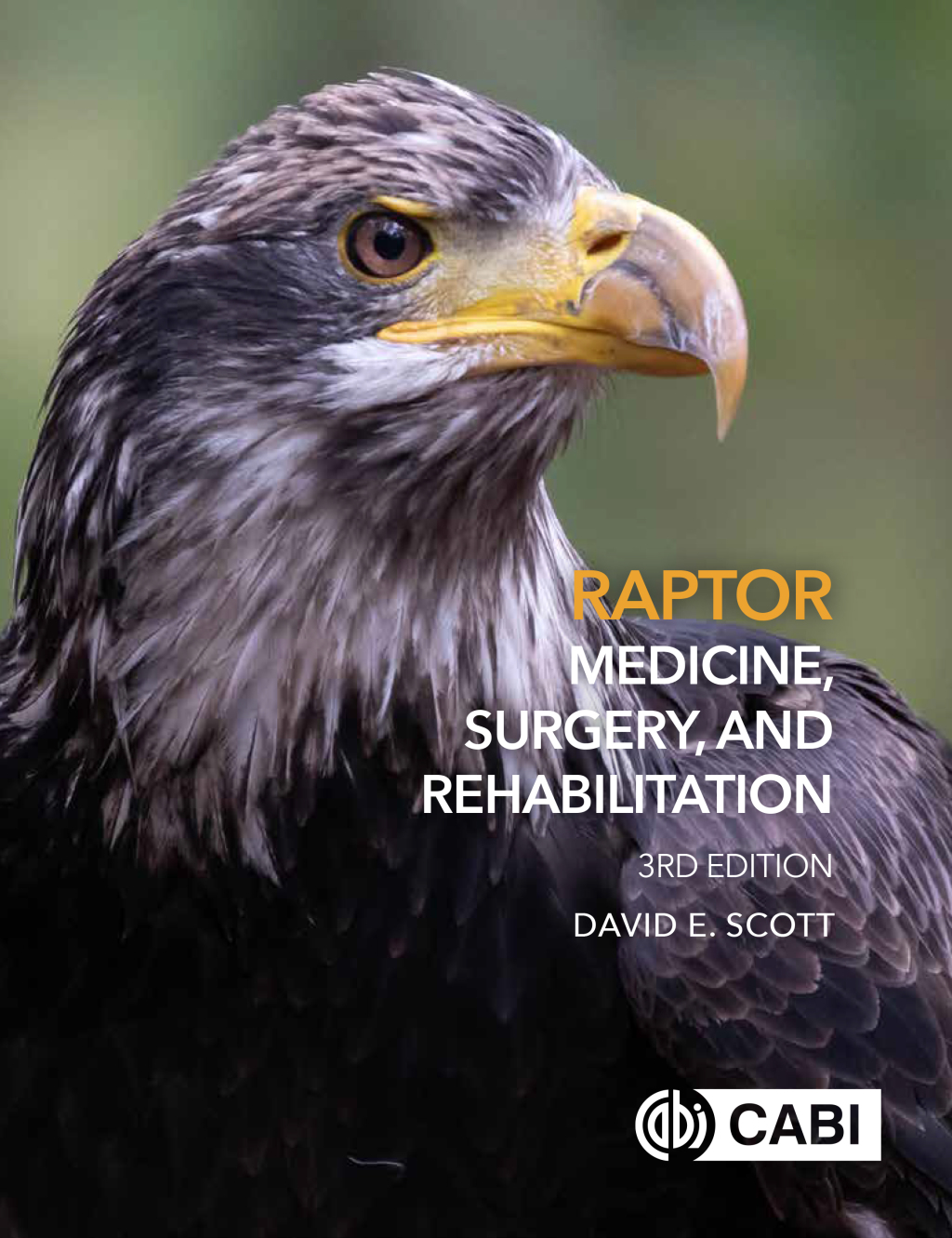 Raptor Medicine, Surgery, and Rehabilitation 3rd Edition â€“ PDF/EPUB Version Downloadable