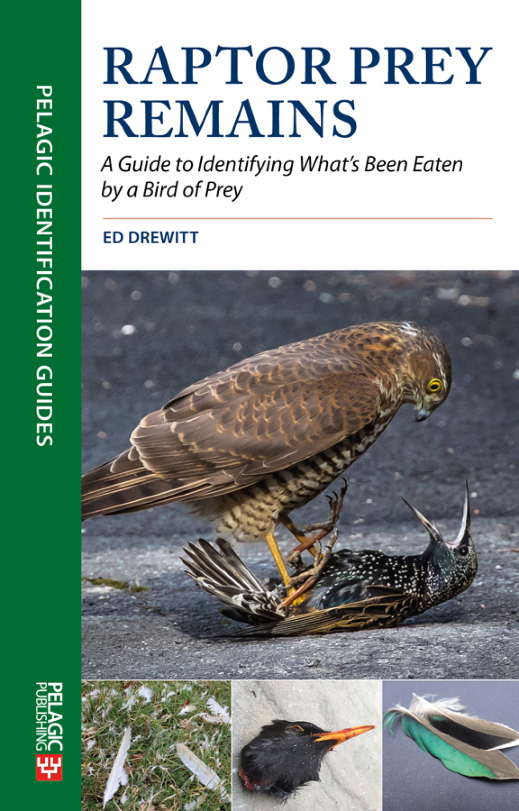 Raptor Prey Remains A Guide to Identifying Whatâ€™s Been Eaten by a Bird of Prey 1st Edition â€“ PDF/EPUB Version Downloadable