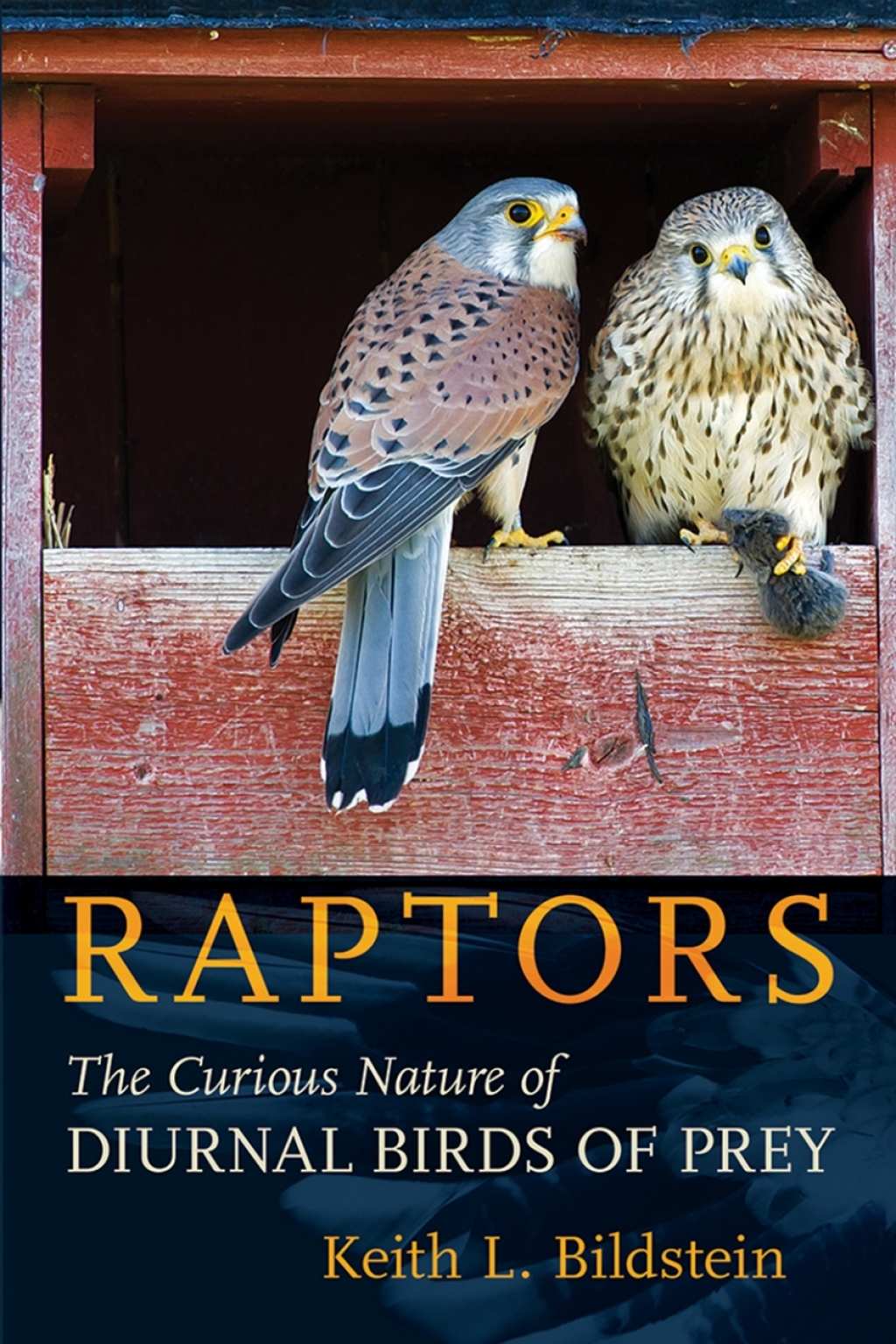 Raptors The Curious Nature of Diurnal Birds of Prey 1st Edition â€“ PDF/EPUB Version Downloadable