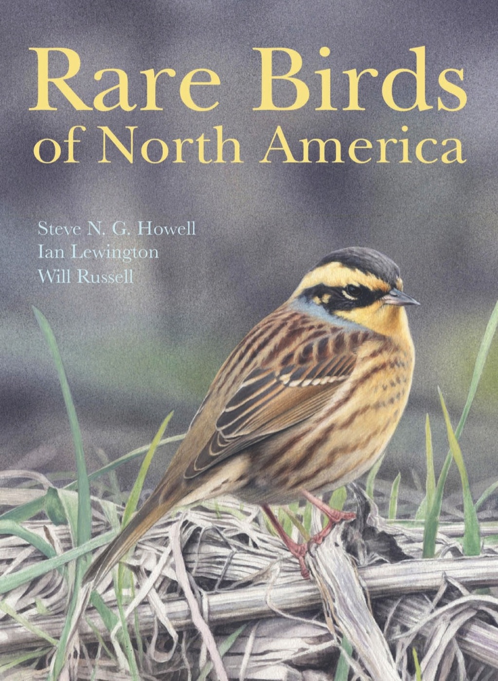 Rare Birds of North America  â€“ PDF/EPUB Version Downloadable