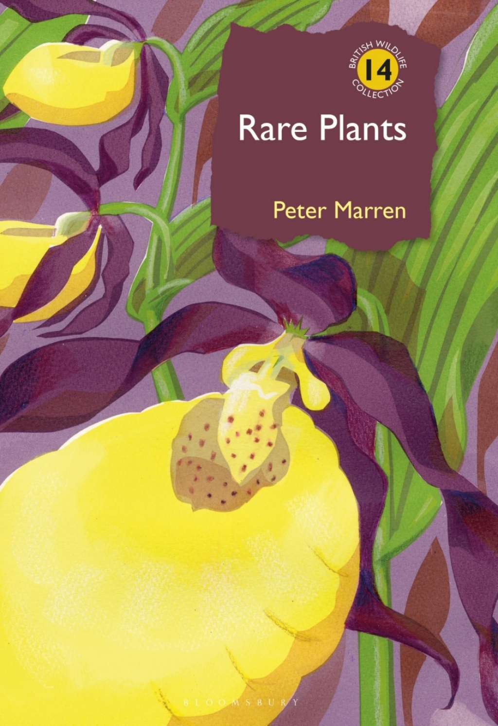 Rare Plants 1st Edition â€“ PDF/EPUB Version Downloadable