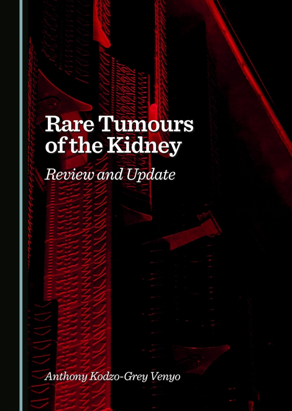 Rare Tumours of the Kidney Review and Update 1st Edition â€“ PDF/EPUB Version Downloadable