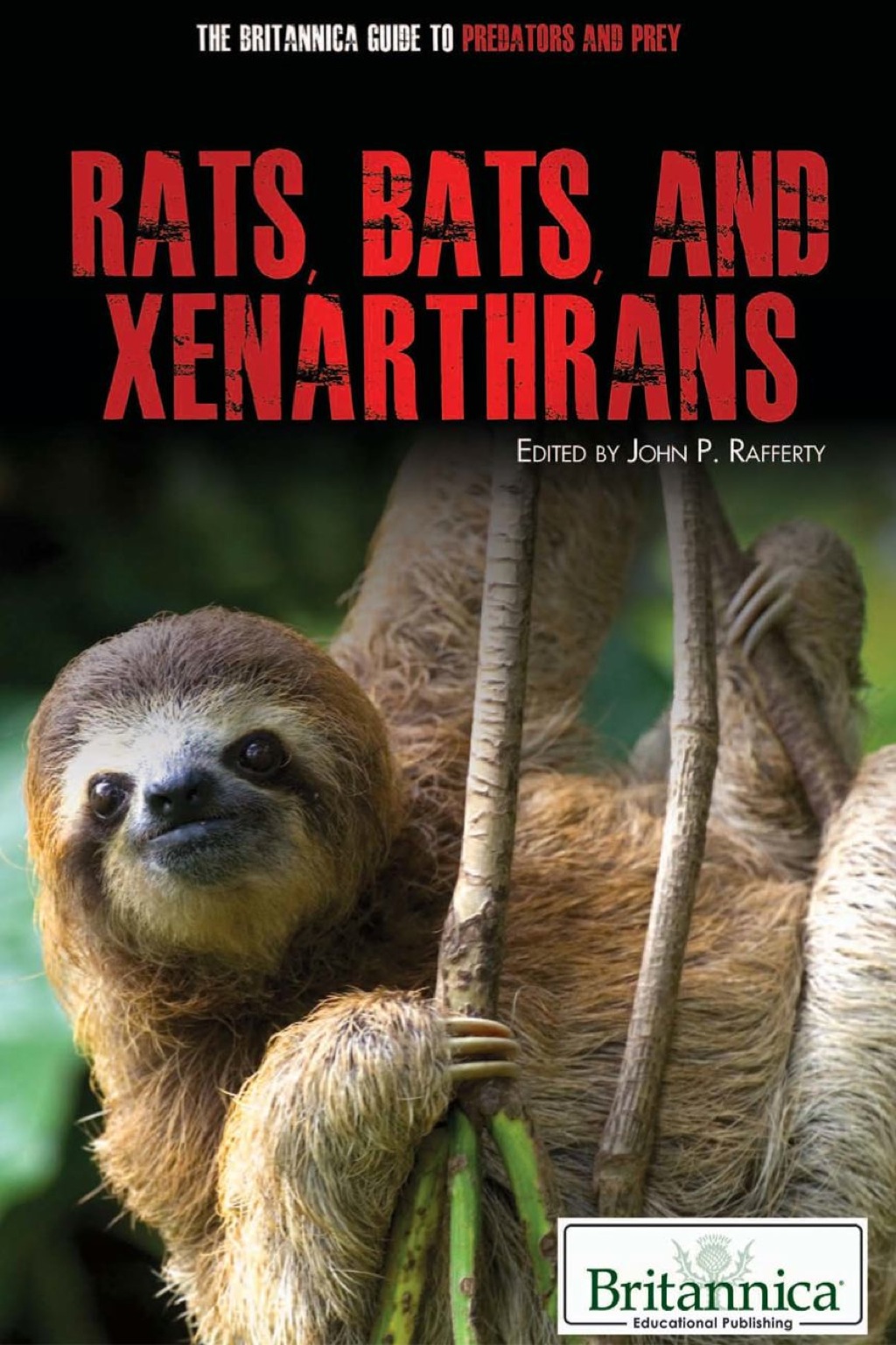Rats, Bats, and Xenarthrans 1st Edition â€“ PDF/EPUB Version Downloadable