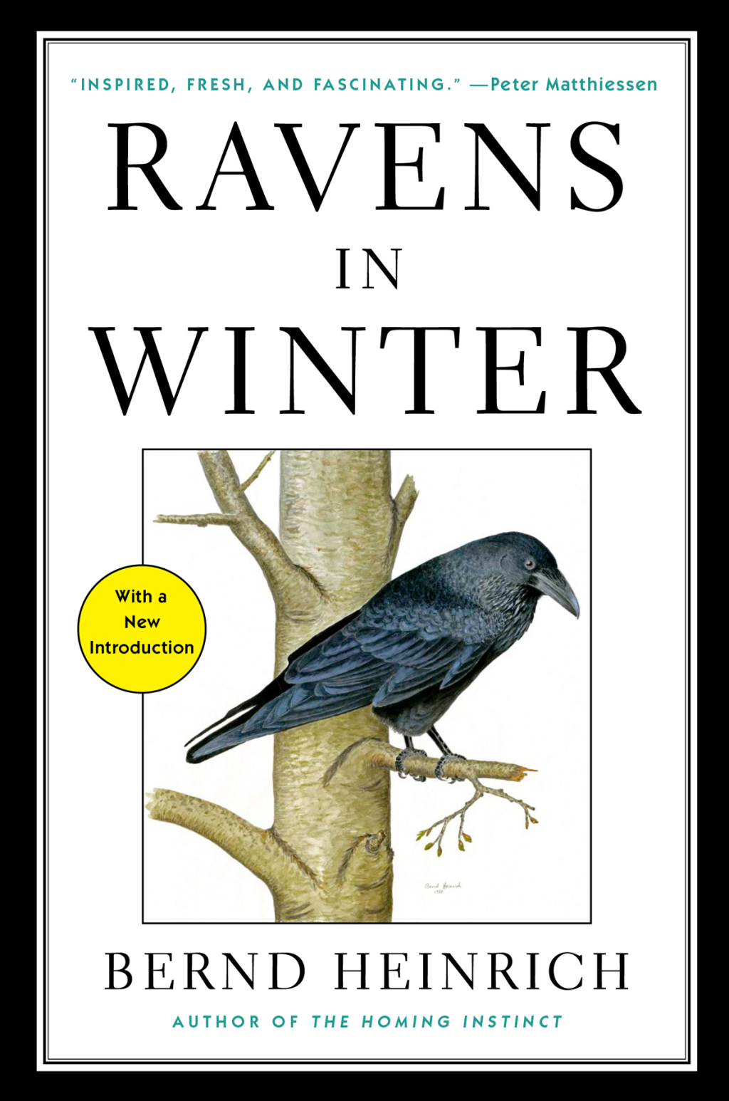 Ravens in Winter - (PDF/EPUB Version)