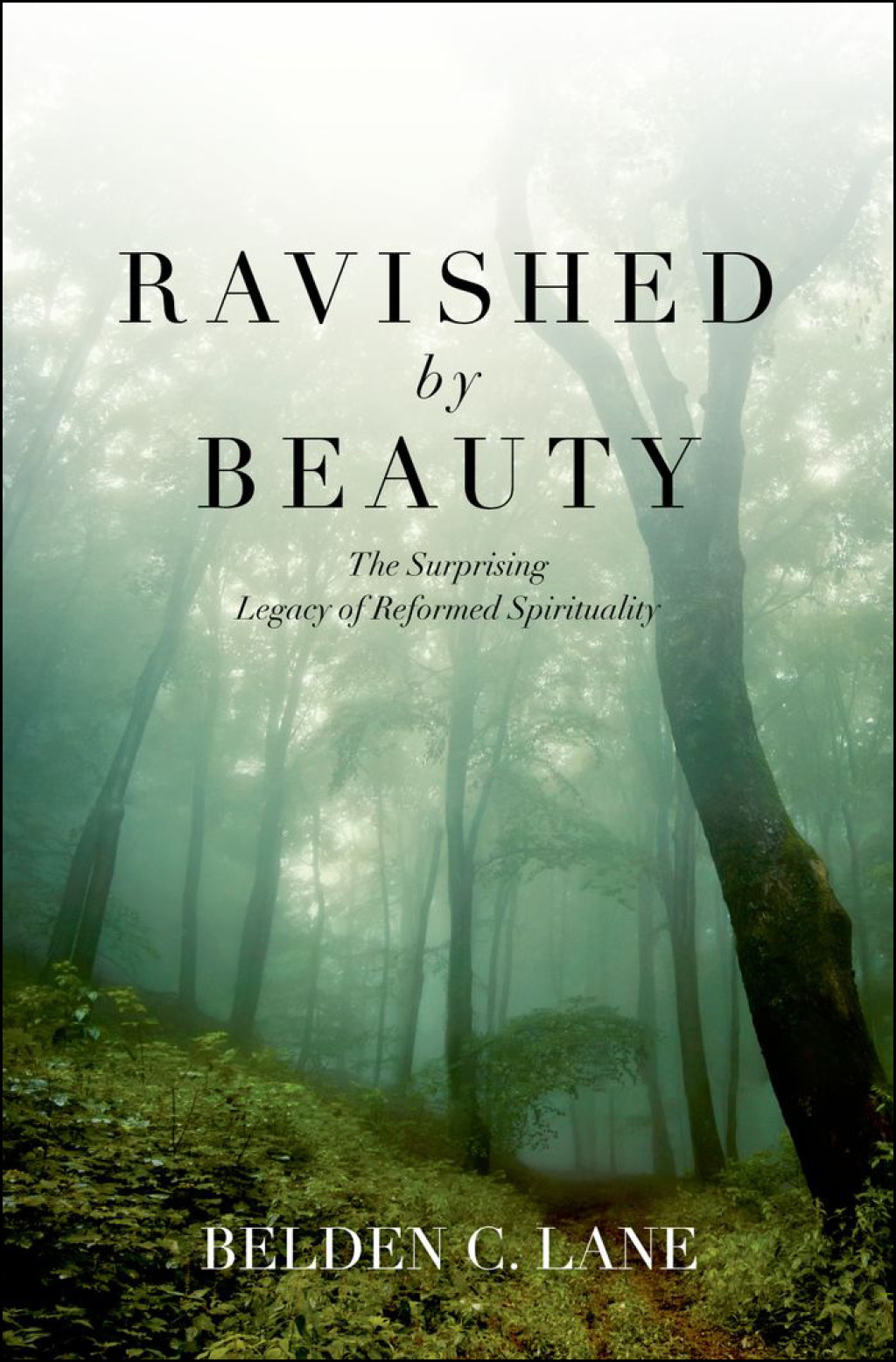 Ravished by Beauty The Surprising Legacy of Reformed Spirituality  â€“ PDF/EPUB Version Downloadable