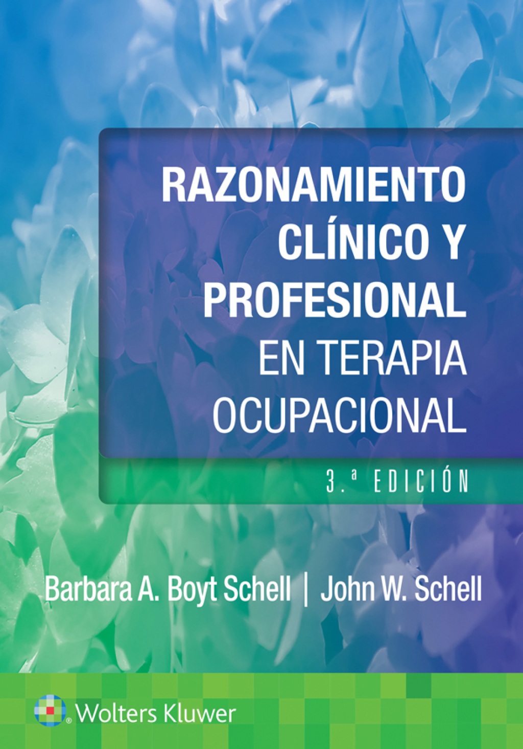 Razonamiento clÃ­nico y profesional en terapia ocupacional 3rd Edition â€“ PDF/EPUB Version Downloadable