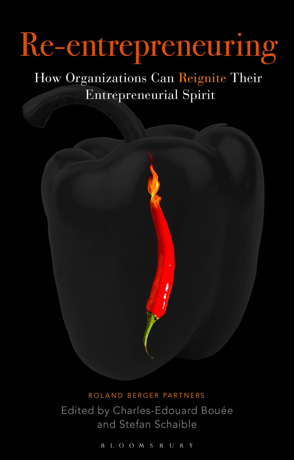 Re-Entrepreneuring How Organizations Can Reignite Their Entrepreneurial Spirit 1st Edition - (PDF/EPUB Version)