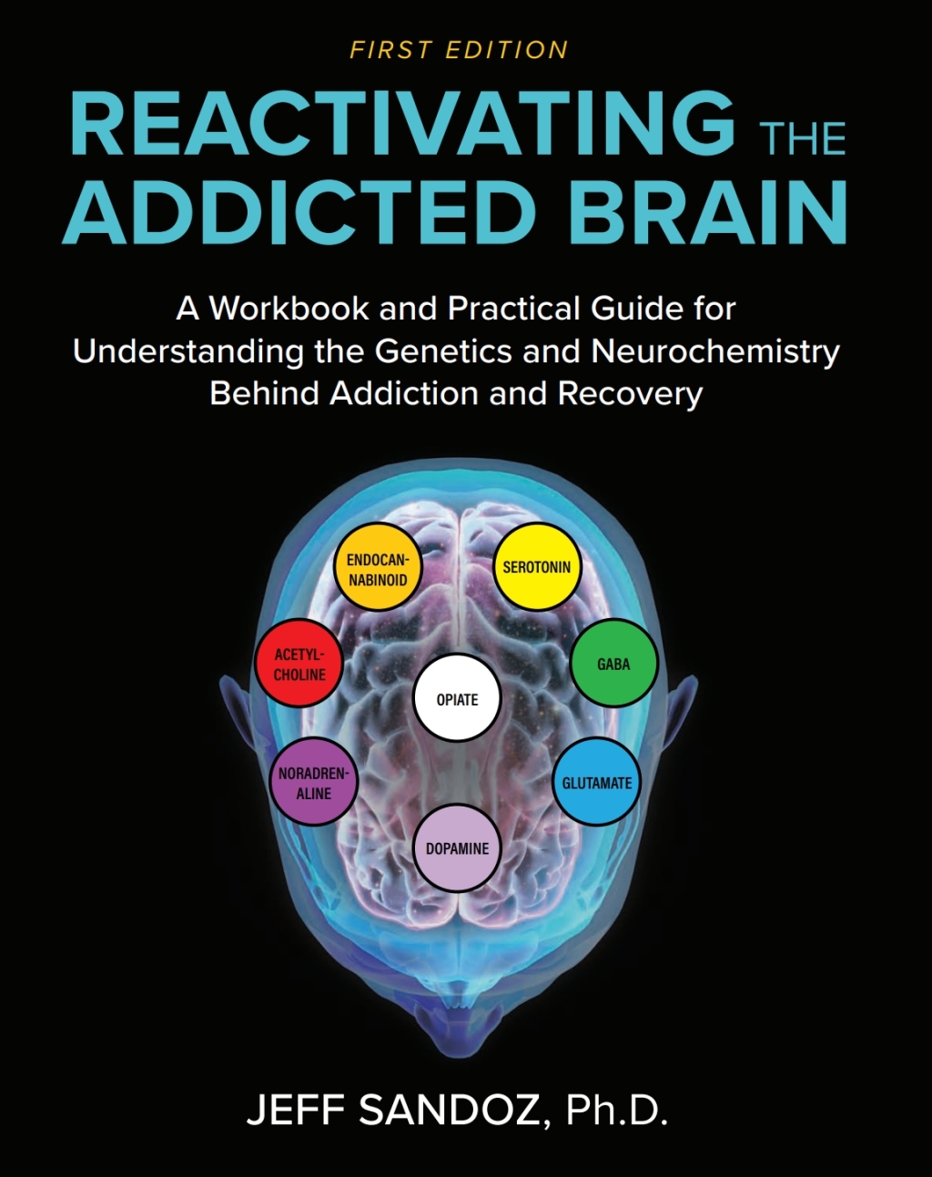 Reactivating the Addicted Brain 1st Edition â€“ PDF/EPUB Version Downloadable