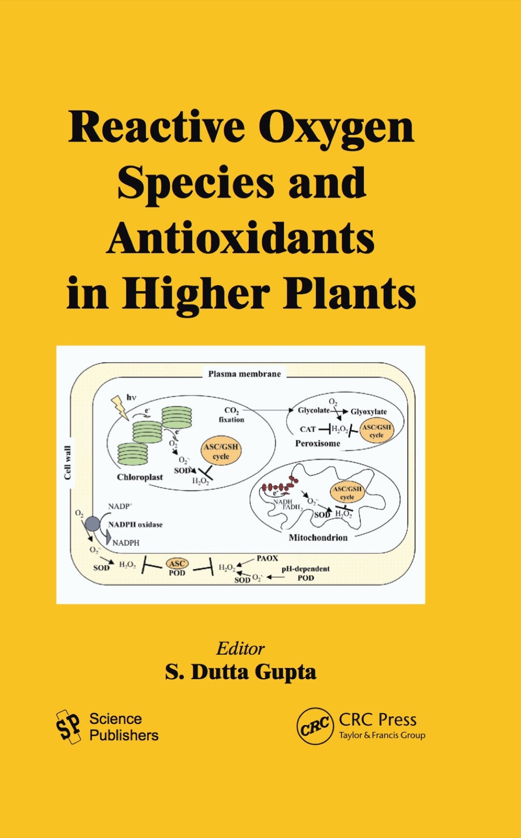 Reactive Oxygen Species and Antioxidants in Higher Plants 1st Edition â€“ PDF/EPUB Version Downloadable