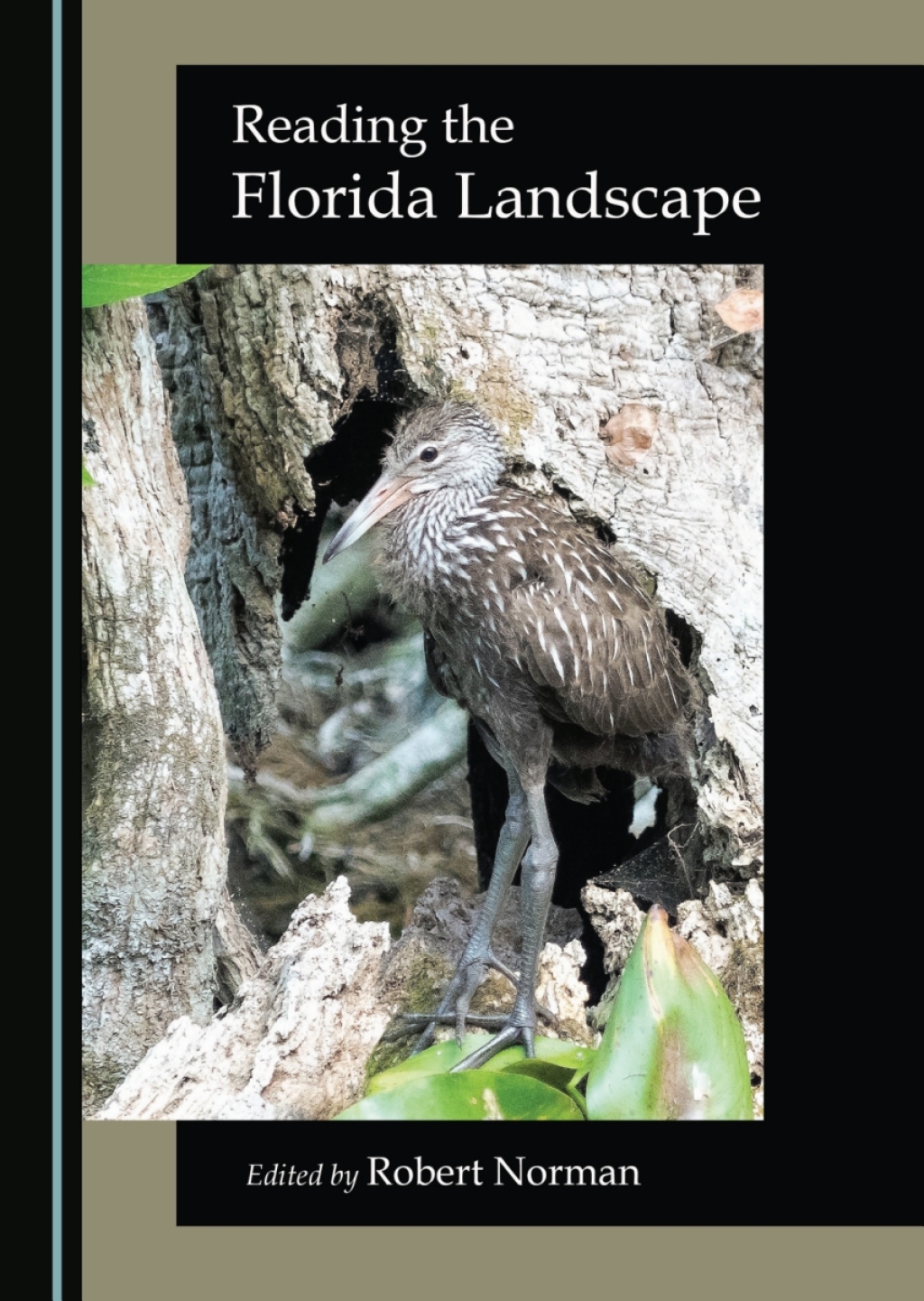 Reading the Florida Landscape 1st Edition â€“ PDF/EPUB Version Downloadable