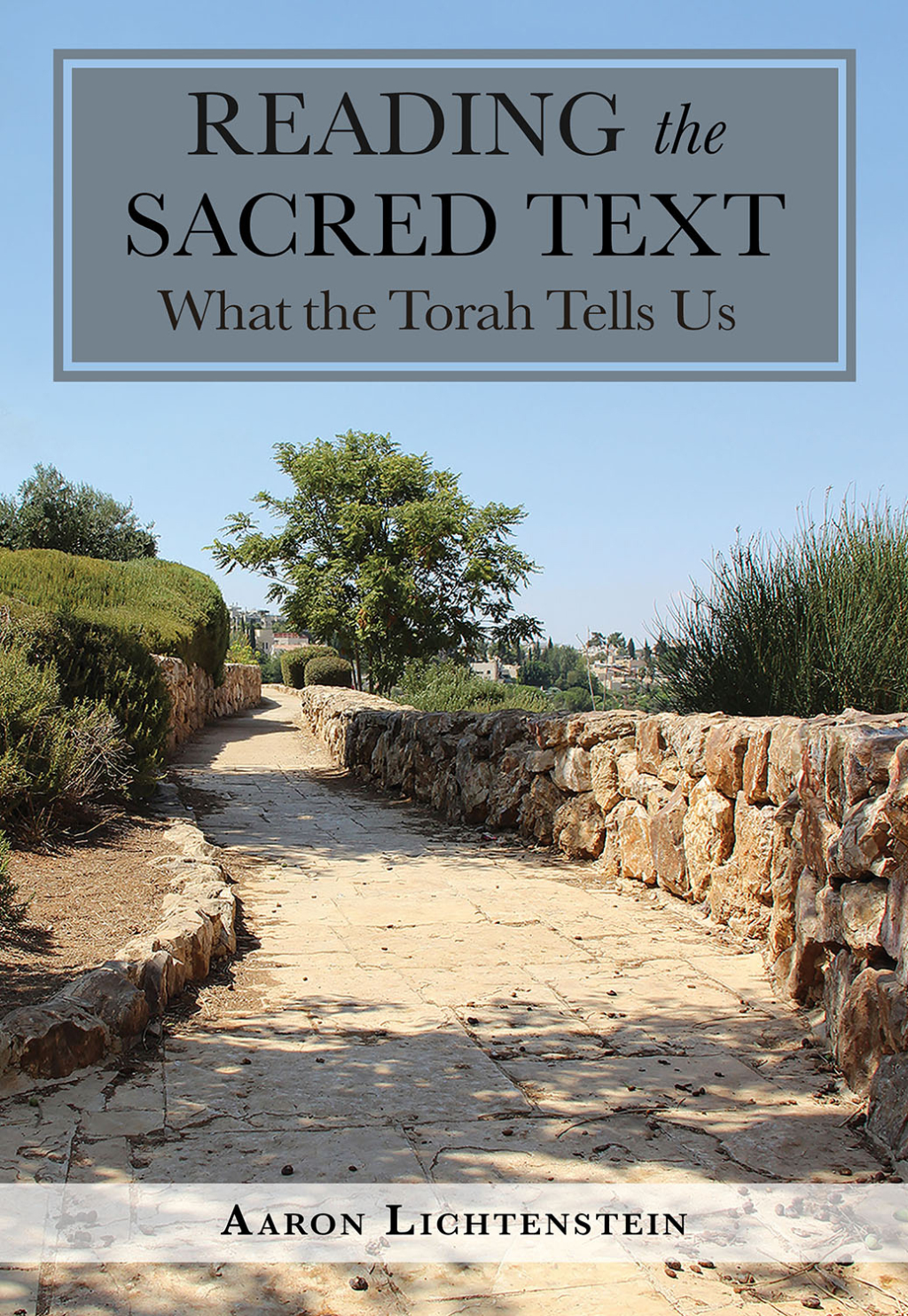 Reading the Sacred Text What the Torah Tells Us - (PDF/EPUB Version)