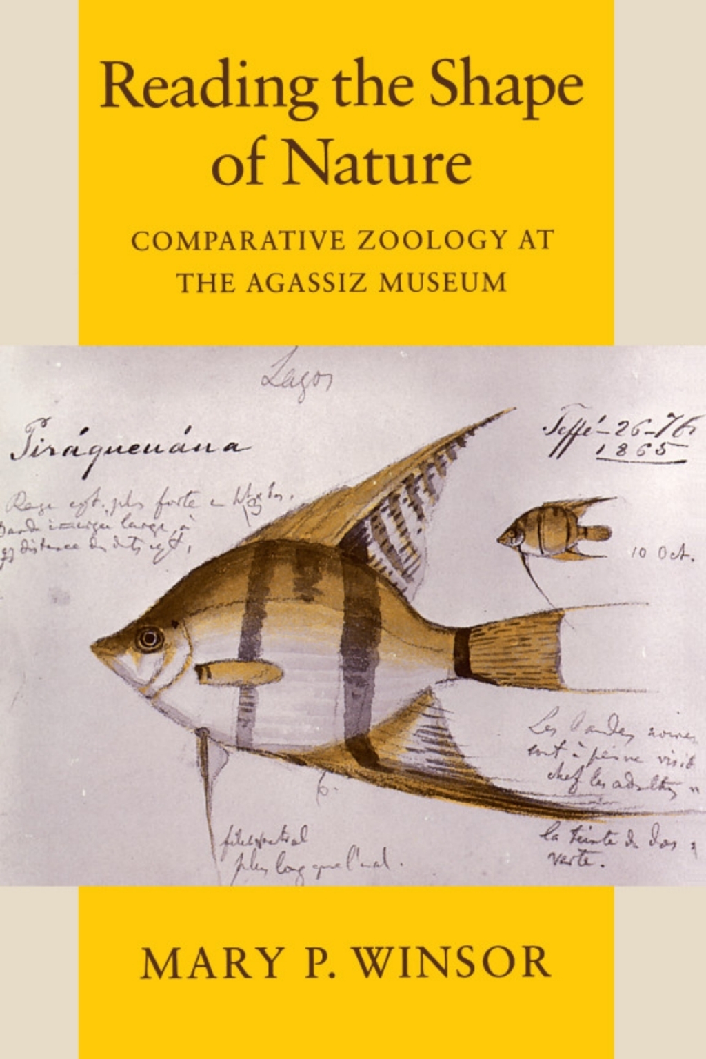 Reading the Shape of Nature Comparative Zoology at the Agassiz Museum 1st Edition â€“ PDF/EPUB Version Downloadable