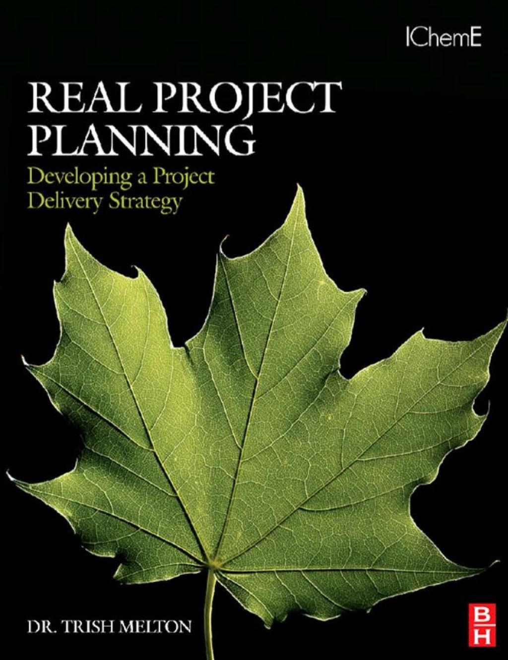 Real Project Planning: Developing a Project Delivery Strategy: Developing a Project Delivery Strategy  â€“ PDF/EPUB Version Downloadable