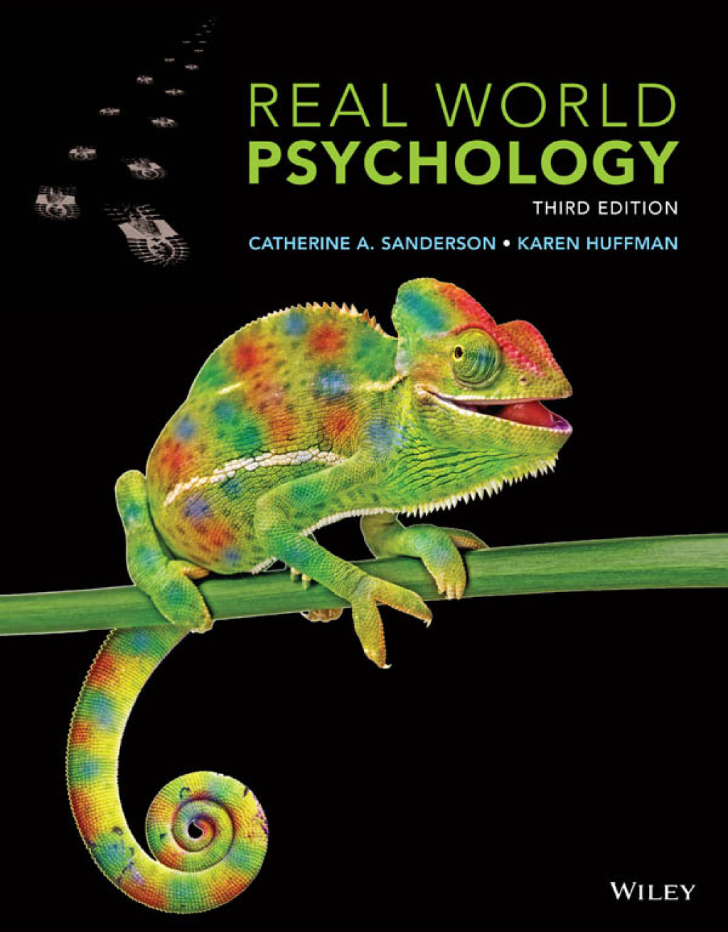 Real World Psychology 3rd Edition â€“ PDF/EPUB Version Downloadable