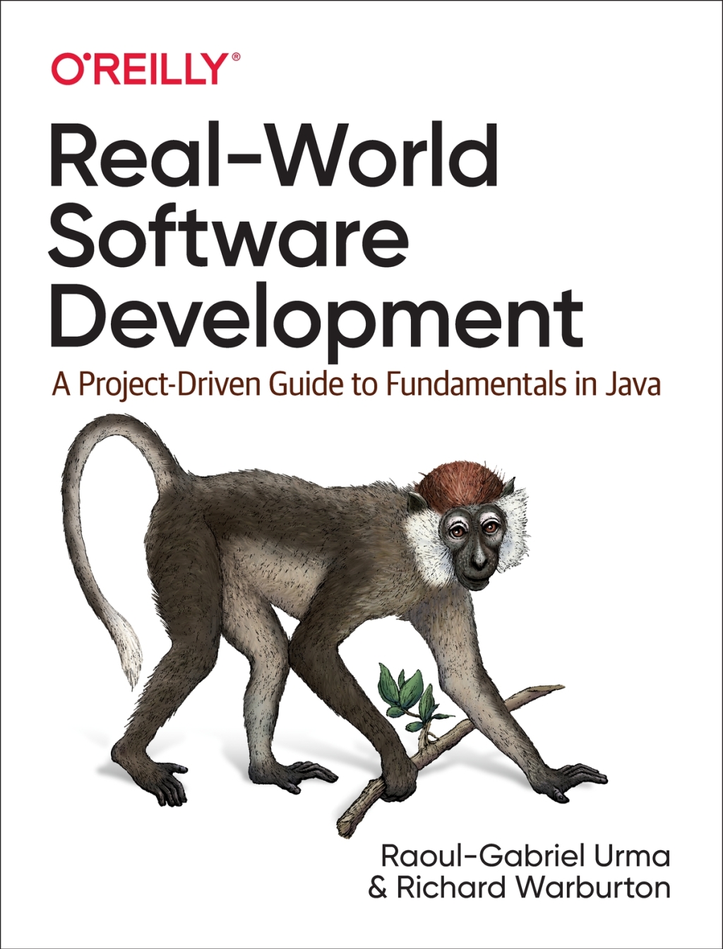 Real-World Software Development A Project-Driven Guide to Fundamentals in Java 1st Edition â€“ PDF/EPUB Version Downloadable