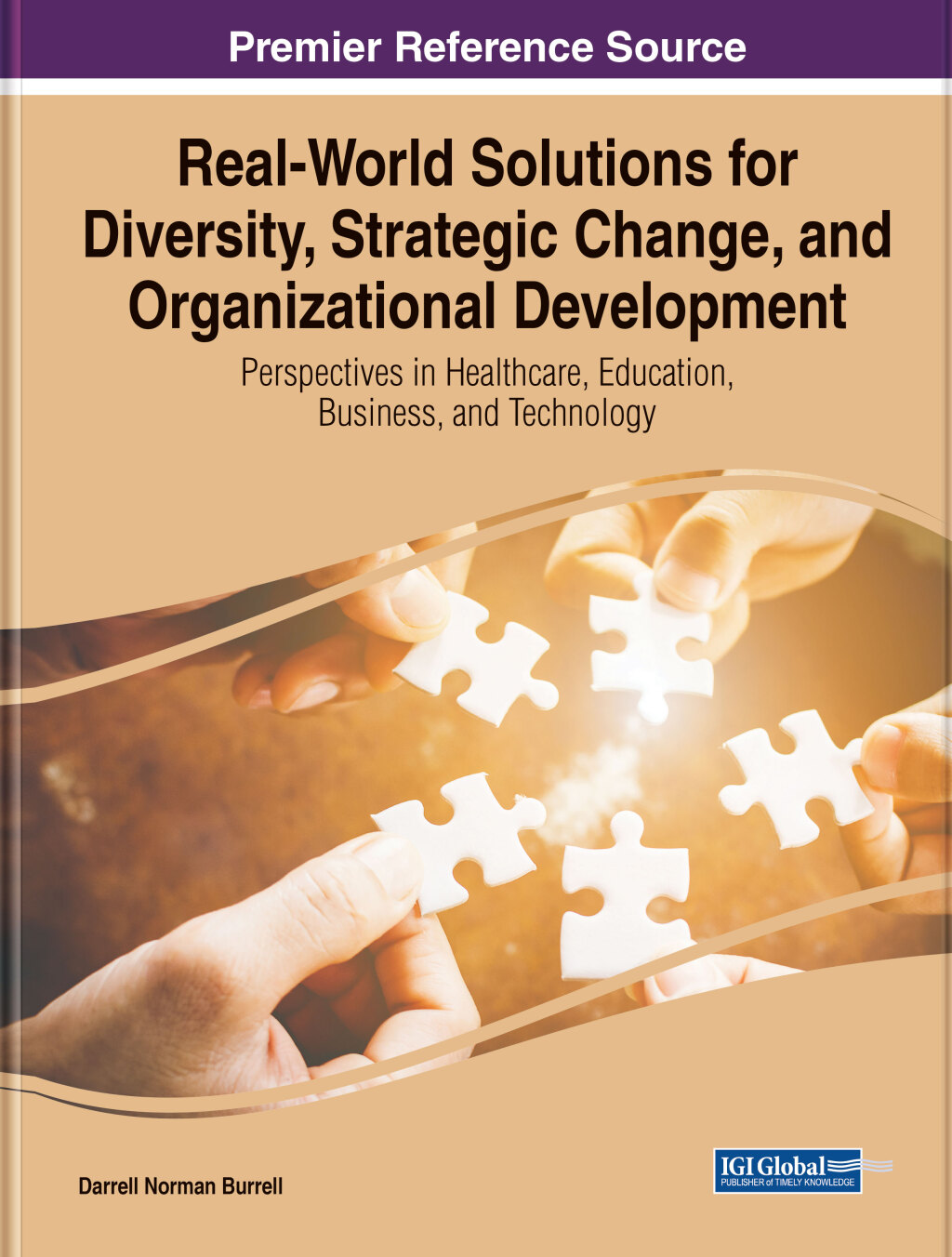 Real-World Solutions for Diversity, Strategic Change, and Organizational Development: Perspectives in Healthcare, Education, Business, and Technology  â€“ PDF/EPUB Version Downloadable