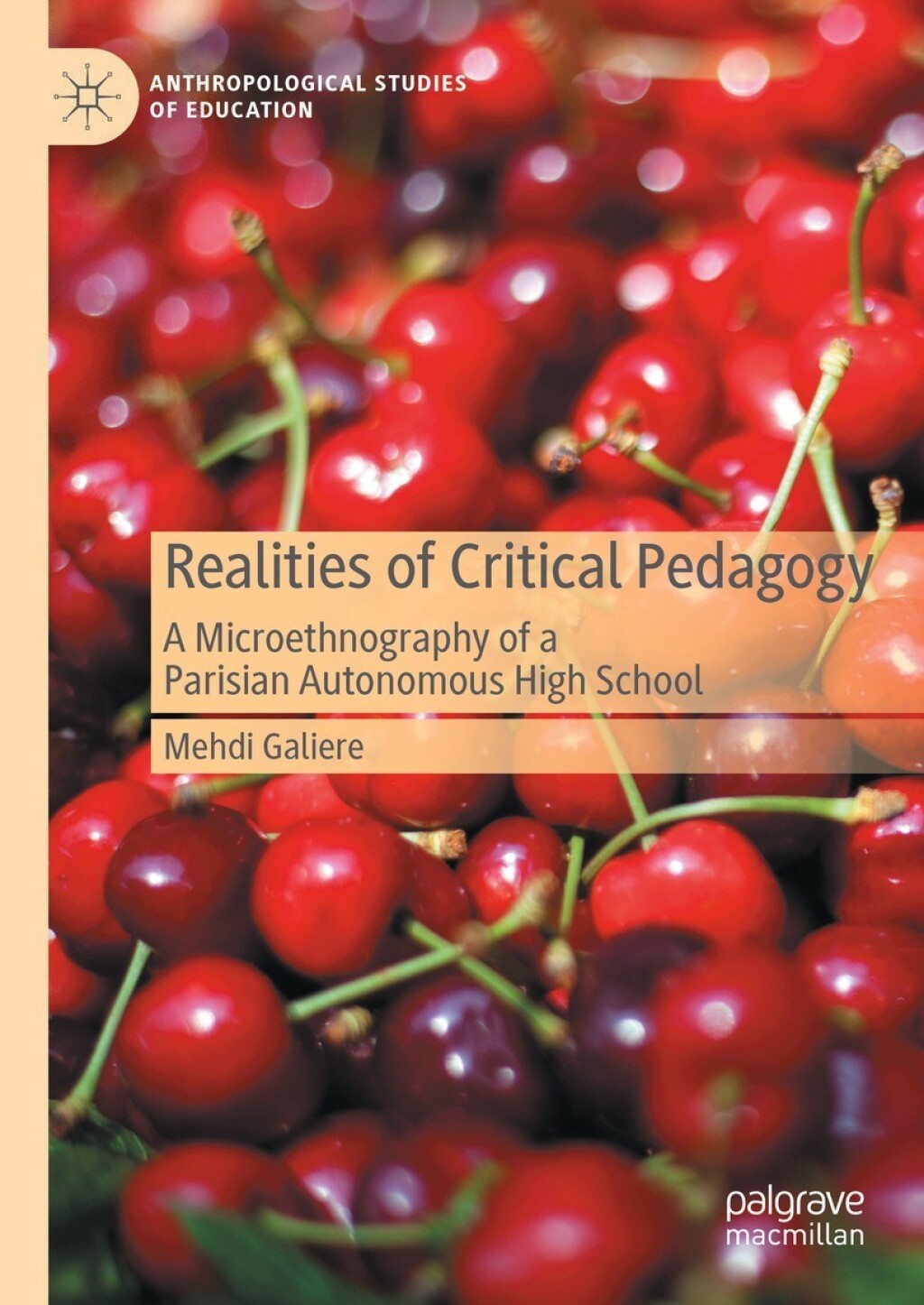 Realities of Critical Pedagogy A Microethnography of a Parisian Autonomous High School  â€“ PDF/EPUB Version Downloadable