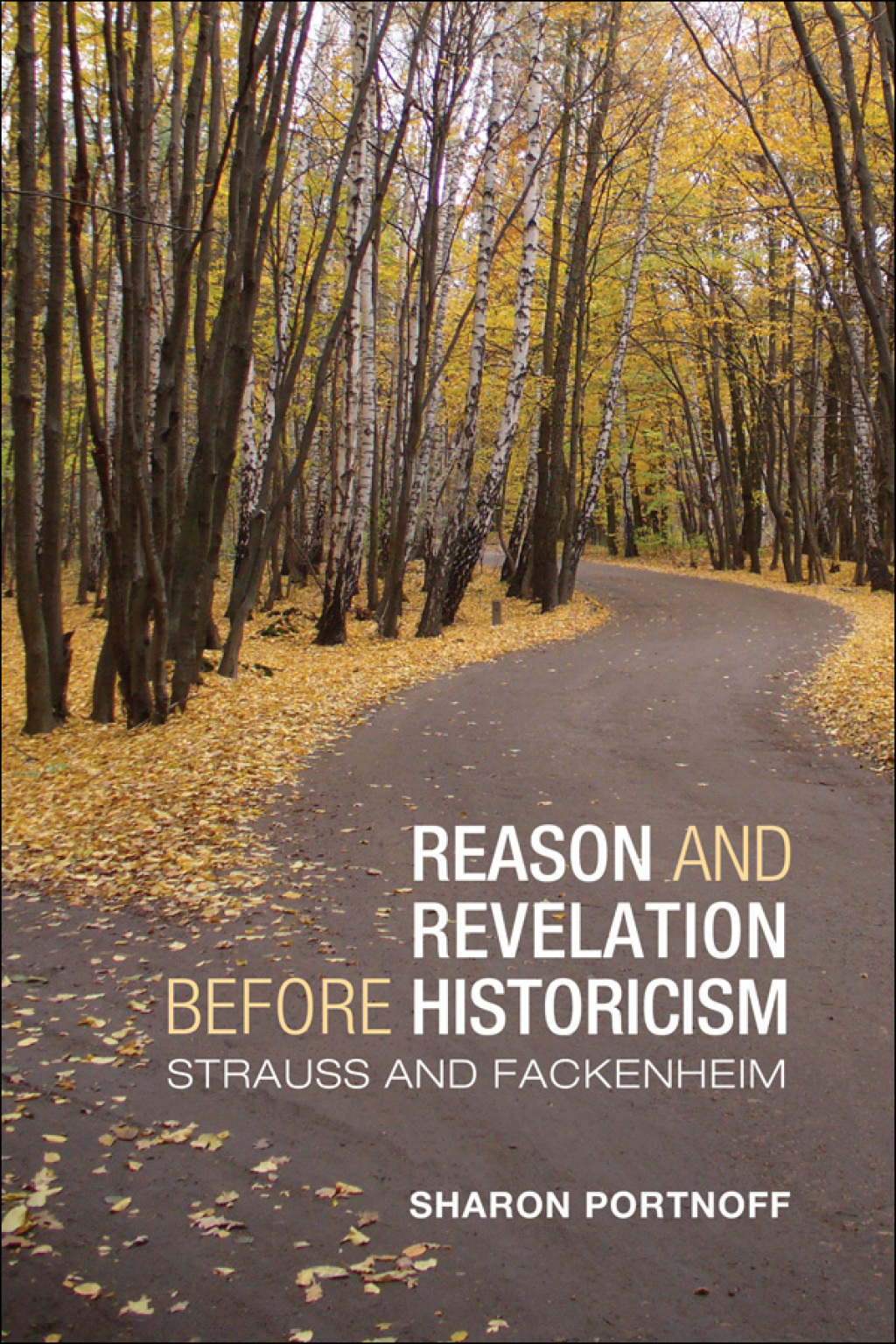 Reason and Revelation before Historicism Strauss and Fackenheim 1st Edition â€“ PDF/EPUB Version Downloadable