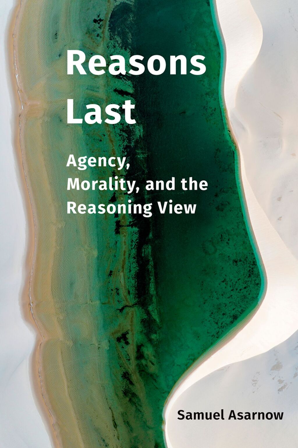 Reasons Last Agency, Morality, and the Reasoning View 1st Edition â€“ PDF/EPUB Version Downloadable