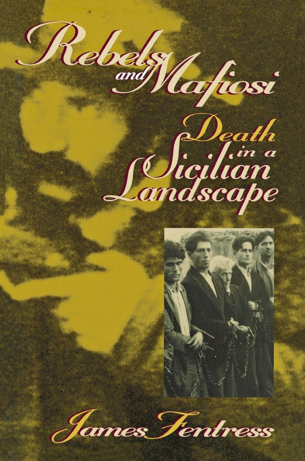Rebels and Mafiosi Death in a Sicilian Landscape  â€“ PDF/EPUB Version Downloadable