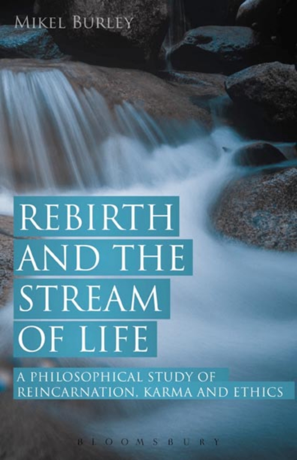 Rebirth and the Stream of Life A Philosophical Study of Reincarnation, Karma and Ethics 1st Edition â€“ PDF/EPUB Version Downloadable