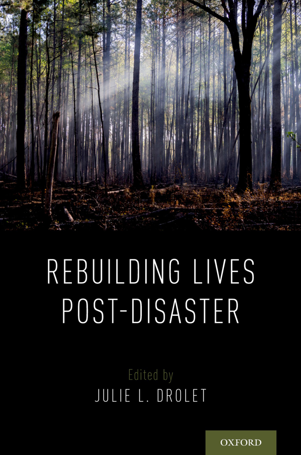 Rebuilding Lives Post-Disaster 1st Edition â€“ PDF/EPUB Version Downloadable