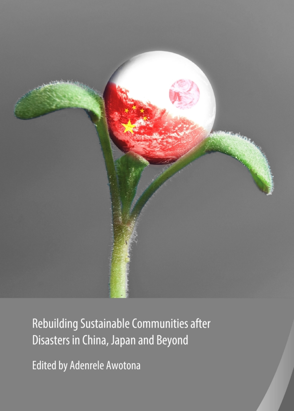 Rebuilding Sustainable Communities after Disasters in China, Japan and Beyond 1st Edition â€“ PDF/EPUB Version Downloadable