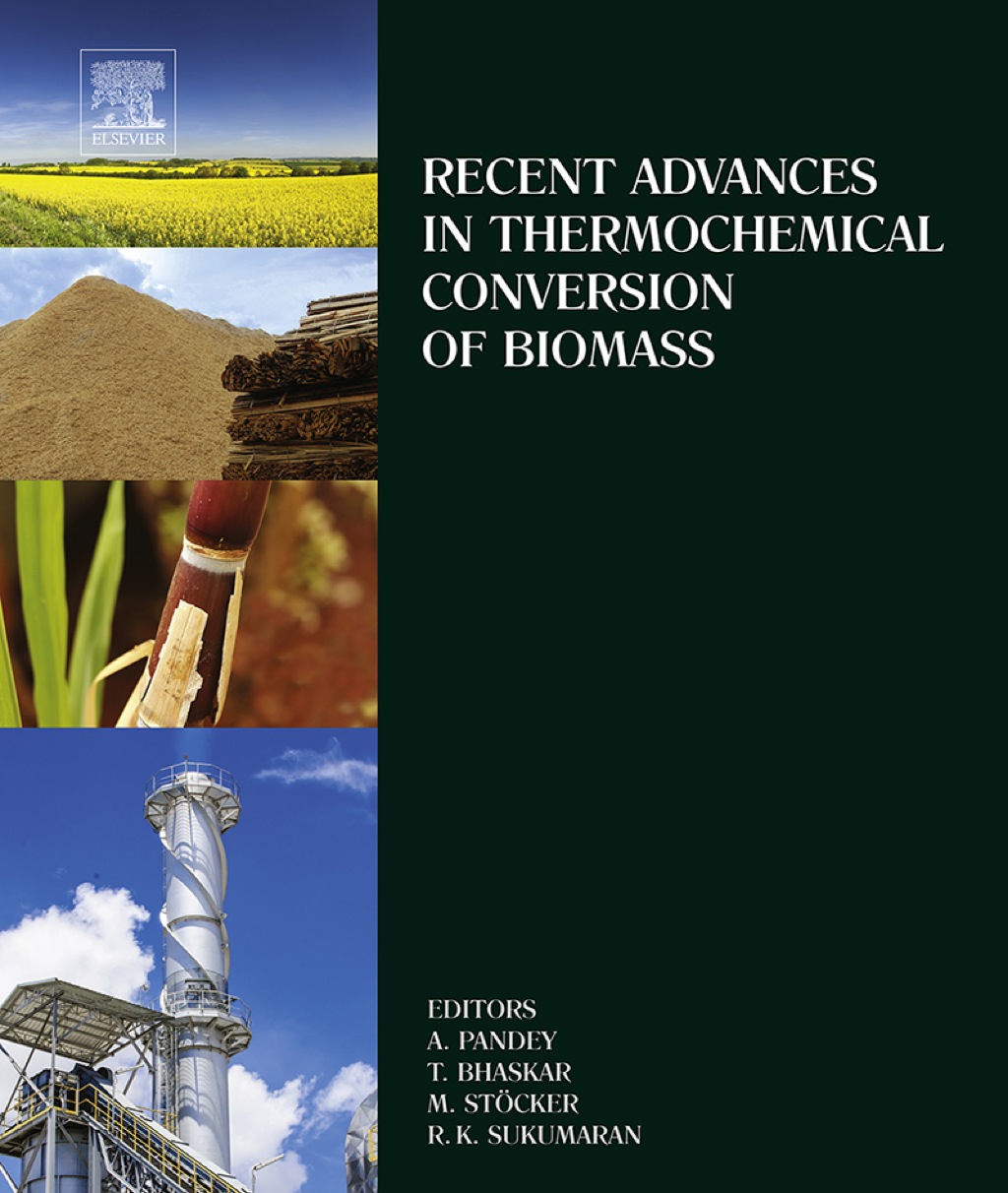 Recent Advances in Thermochemical Conversion of Biomass  â€“ PDF/EPUB Version Downloadable