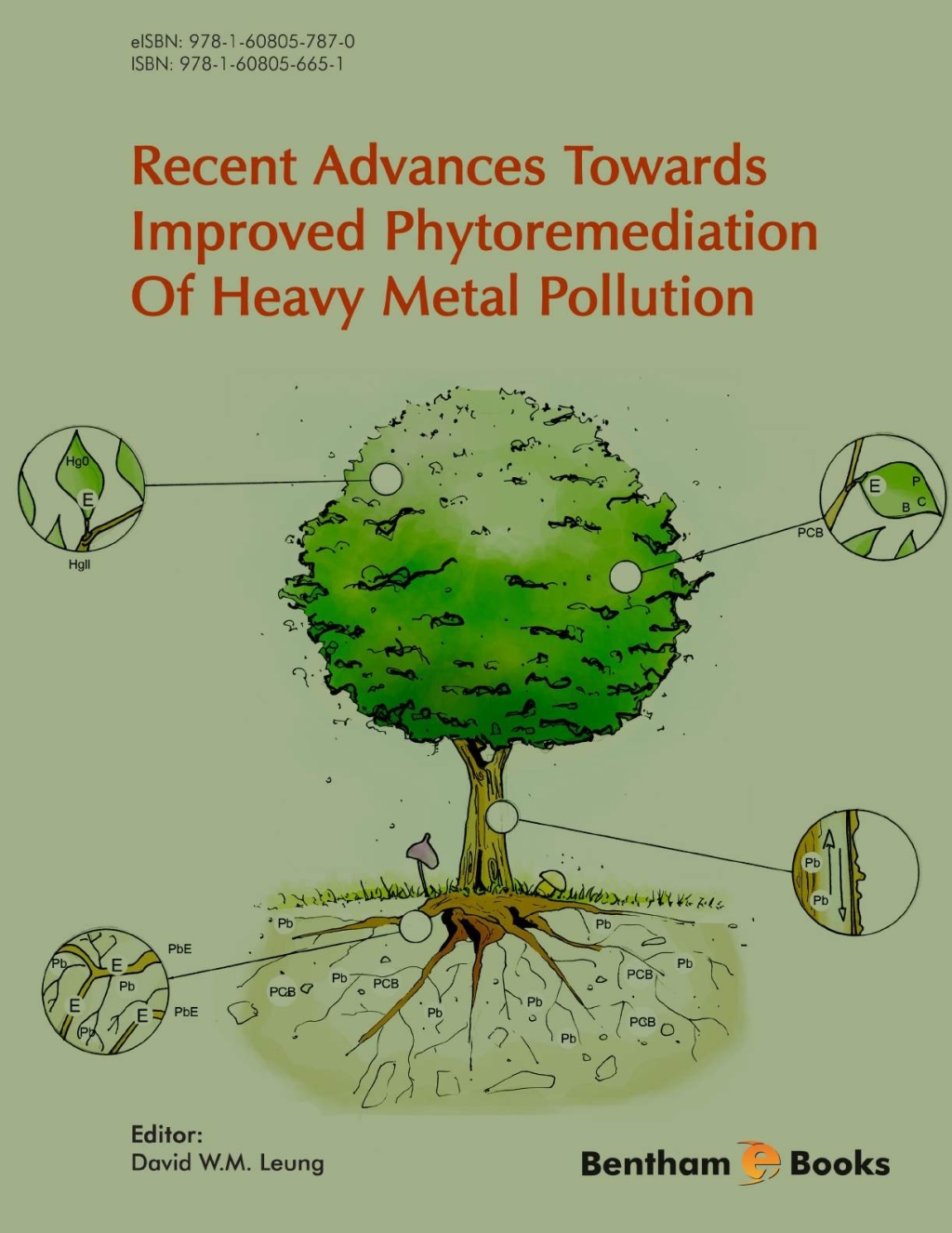 Recent Advances Towards Improved Phytoremediation of Heavy Metal Pollution 1st Edition â€“ PDF/EPUB Version Downloadable