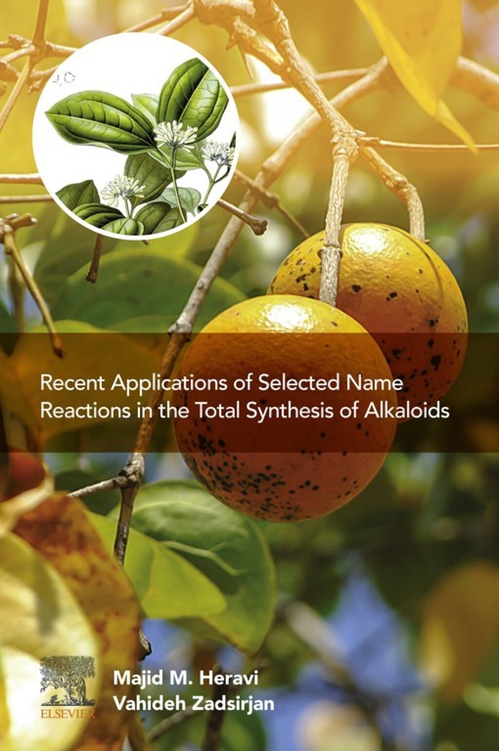 Recent Applications of Selected Name Reactions in the Total Synthesis of Alkaloids  â€“ PDF/EPUB Version Downloadable