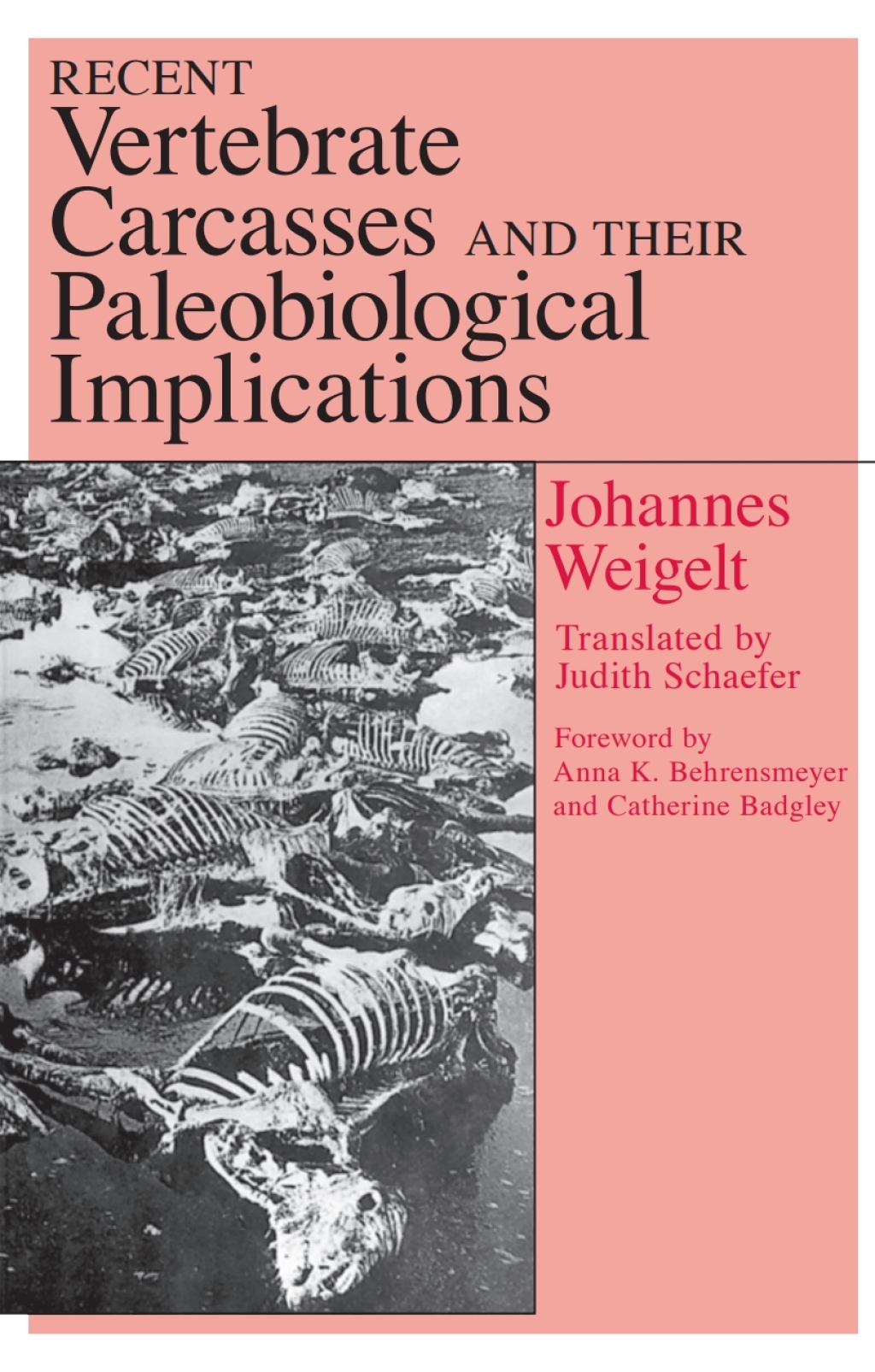 Recent Vertebrate Carcasses and Their Paleobiological Implications 1st Edition â€“ PDF/EPUB Version Downloadable