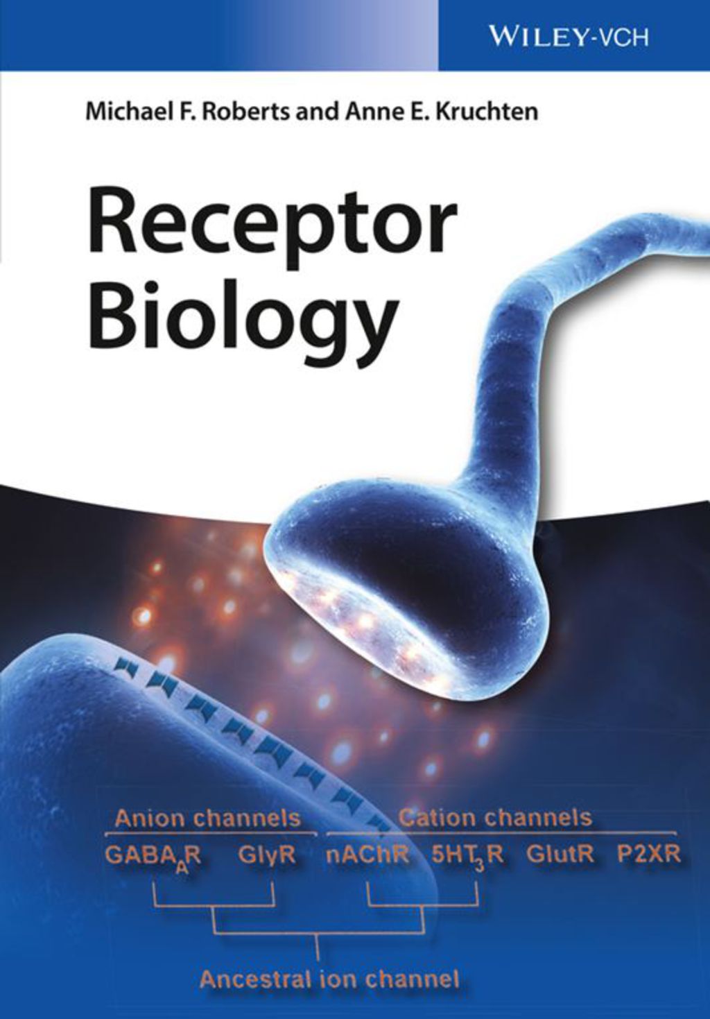 Receptor Biology 1st Edition â€“ PDF/EPUB Version Downloadable