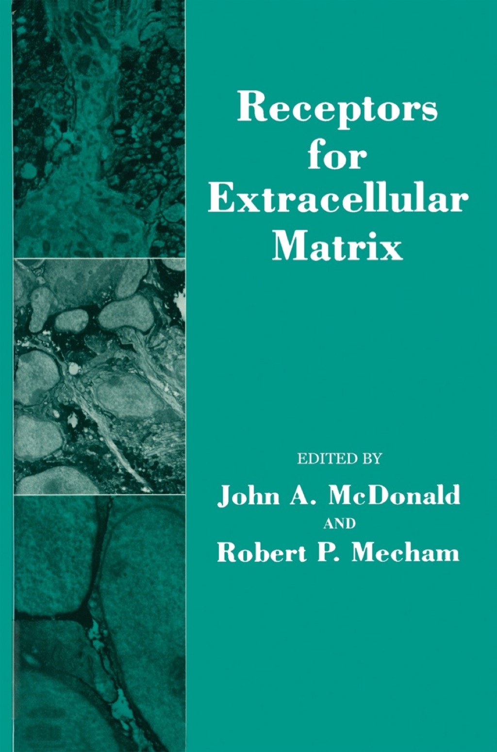 Receptors For Extracellular Matrix  â€“ PDF/EPUB Version Downloadable