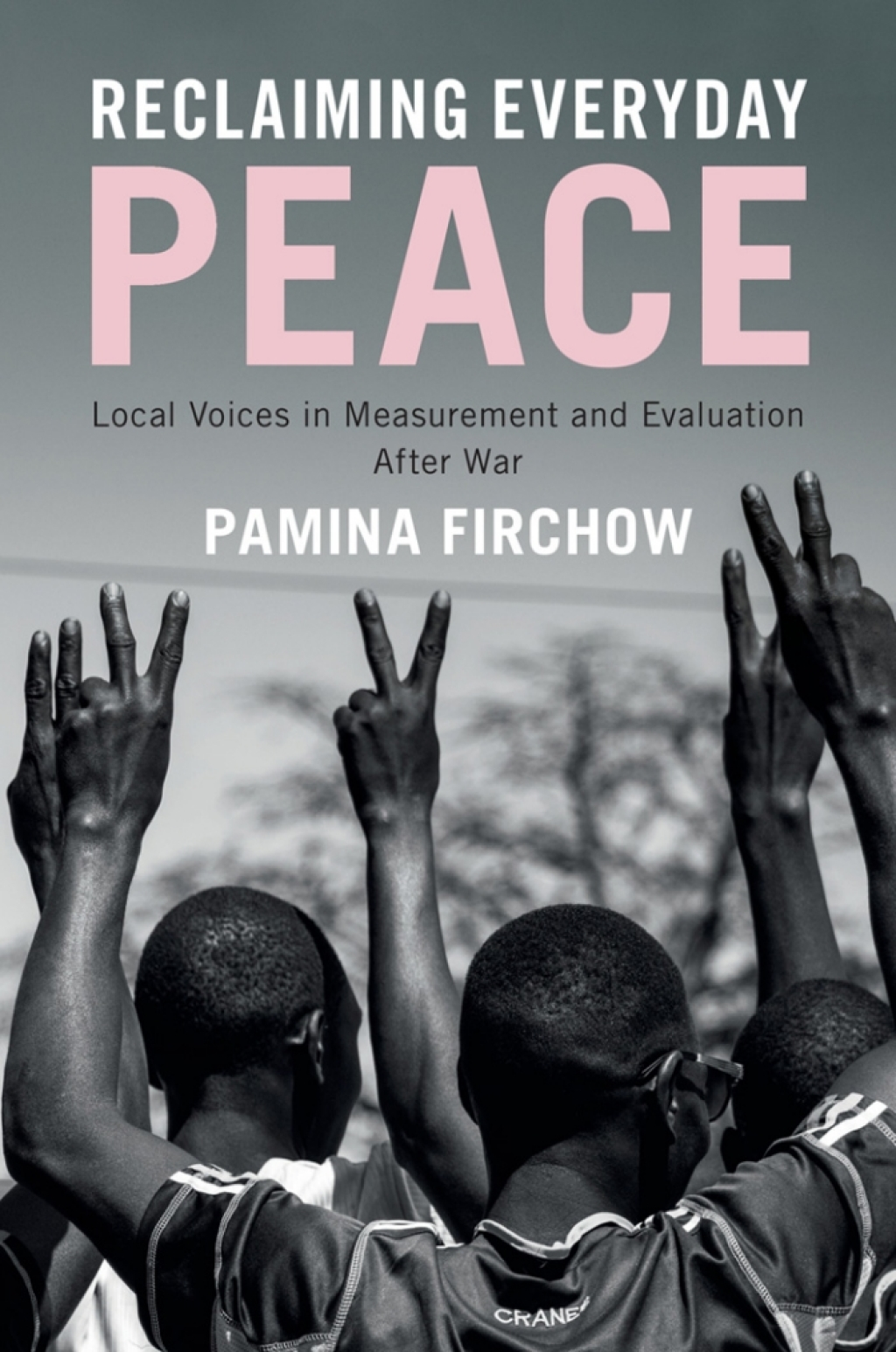 Reclaiming Everyday Peace Local Voices in Measurement and Evaluation After War  â€“ PDF/EPUB Version Downloadable