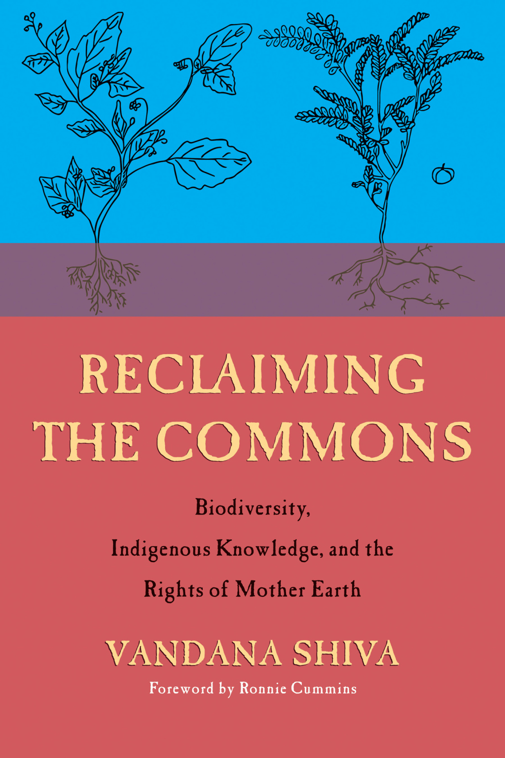 Reclaiming the Commons Biodiversity, Traditional Knowledge, and the Rights of Mother Earth - (PDF/EPUB Version)