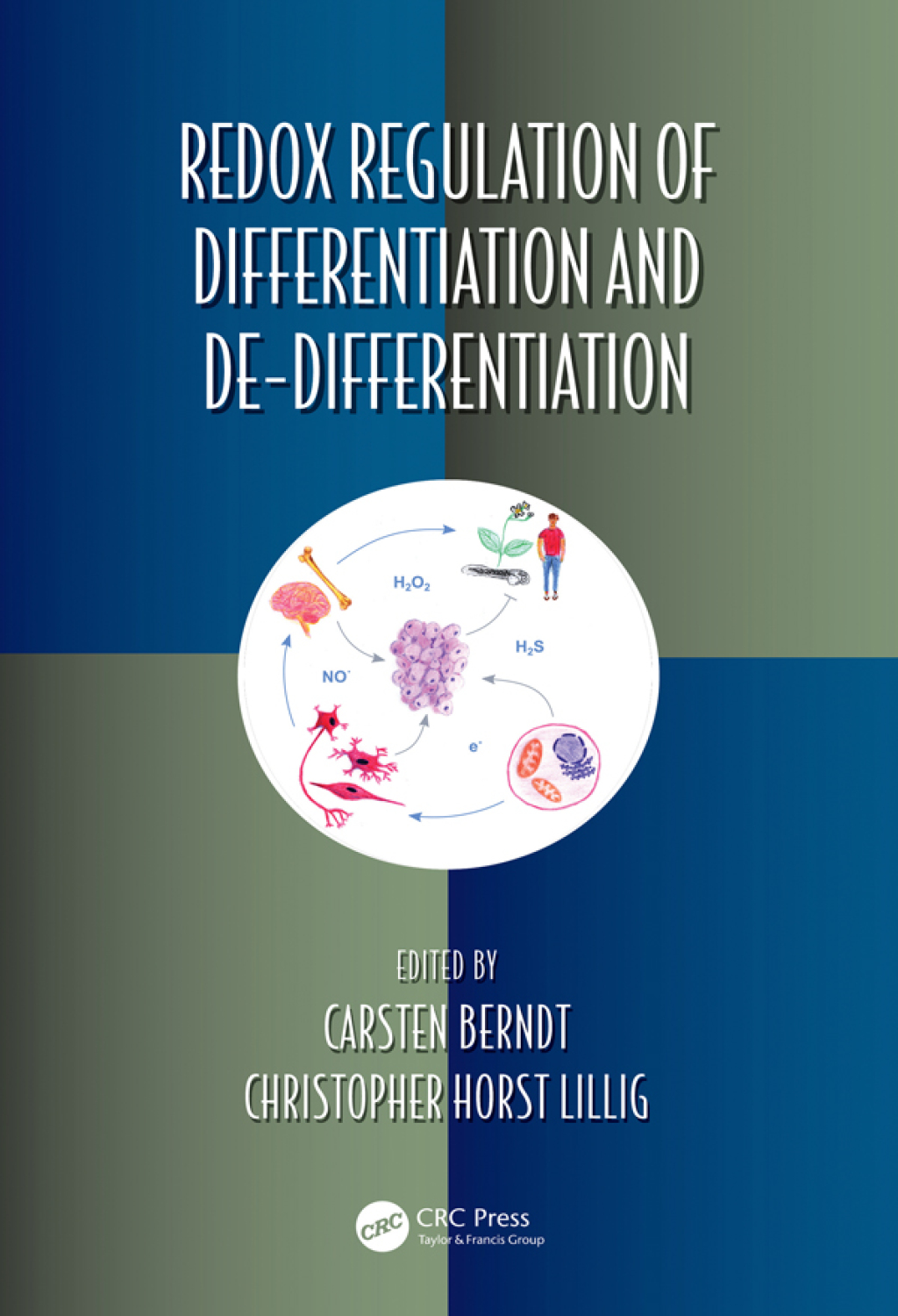 Redox Regulation of Differentiation and De-differentiation 1st Edition ...