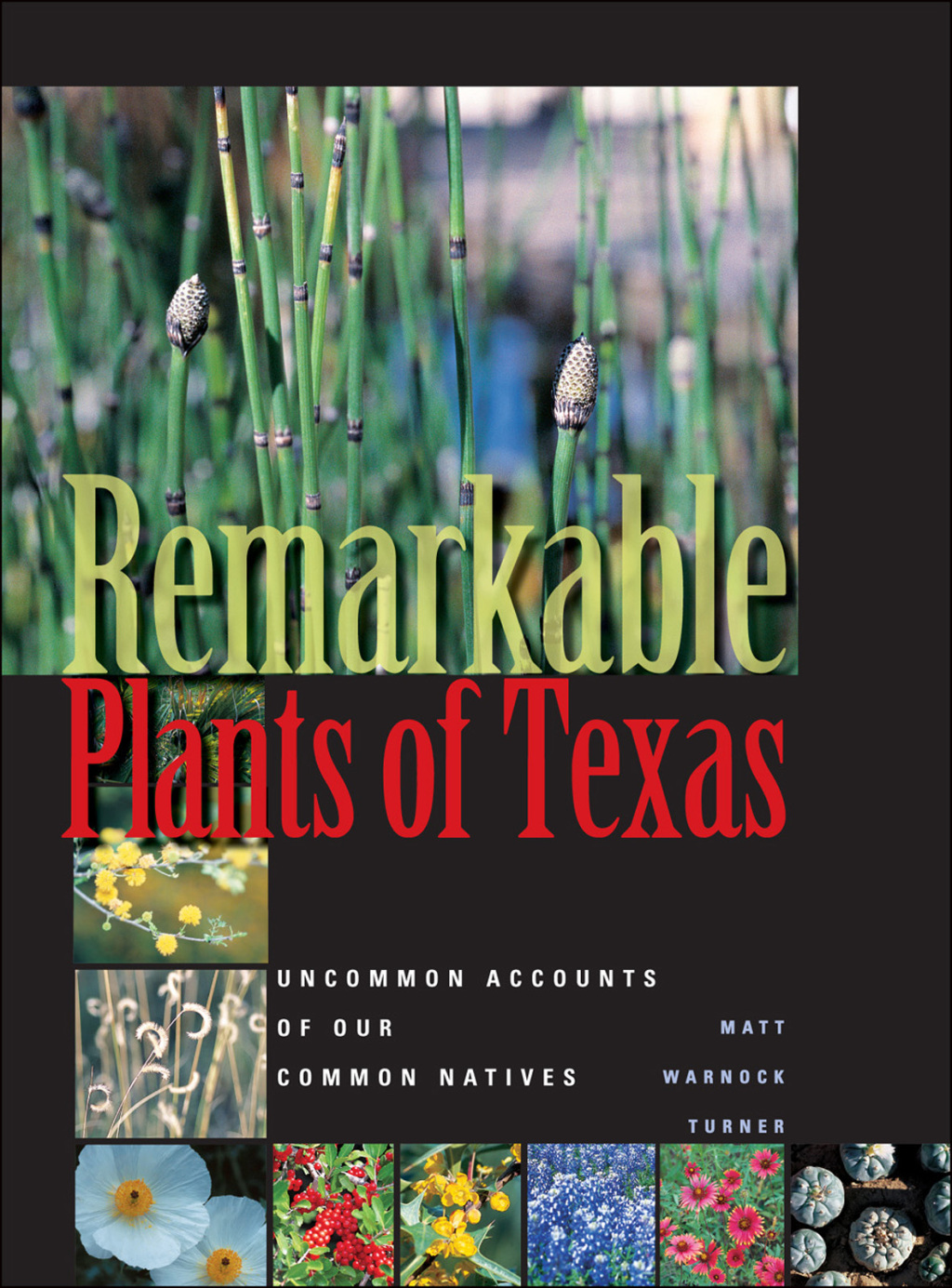Remarkable Plants of Texas Uncommon Accounts of Our Common Natives - (PDF/EPUB Version)