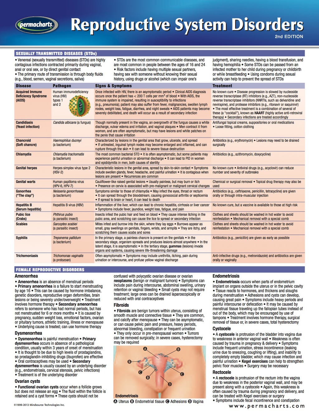 Reproductive System Disorders Chart - Medicine and Anatomy Quick Reference Guide 2nd Edition - (PDF/EPUB Version)