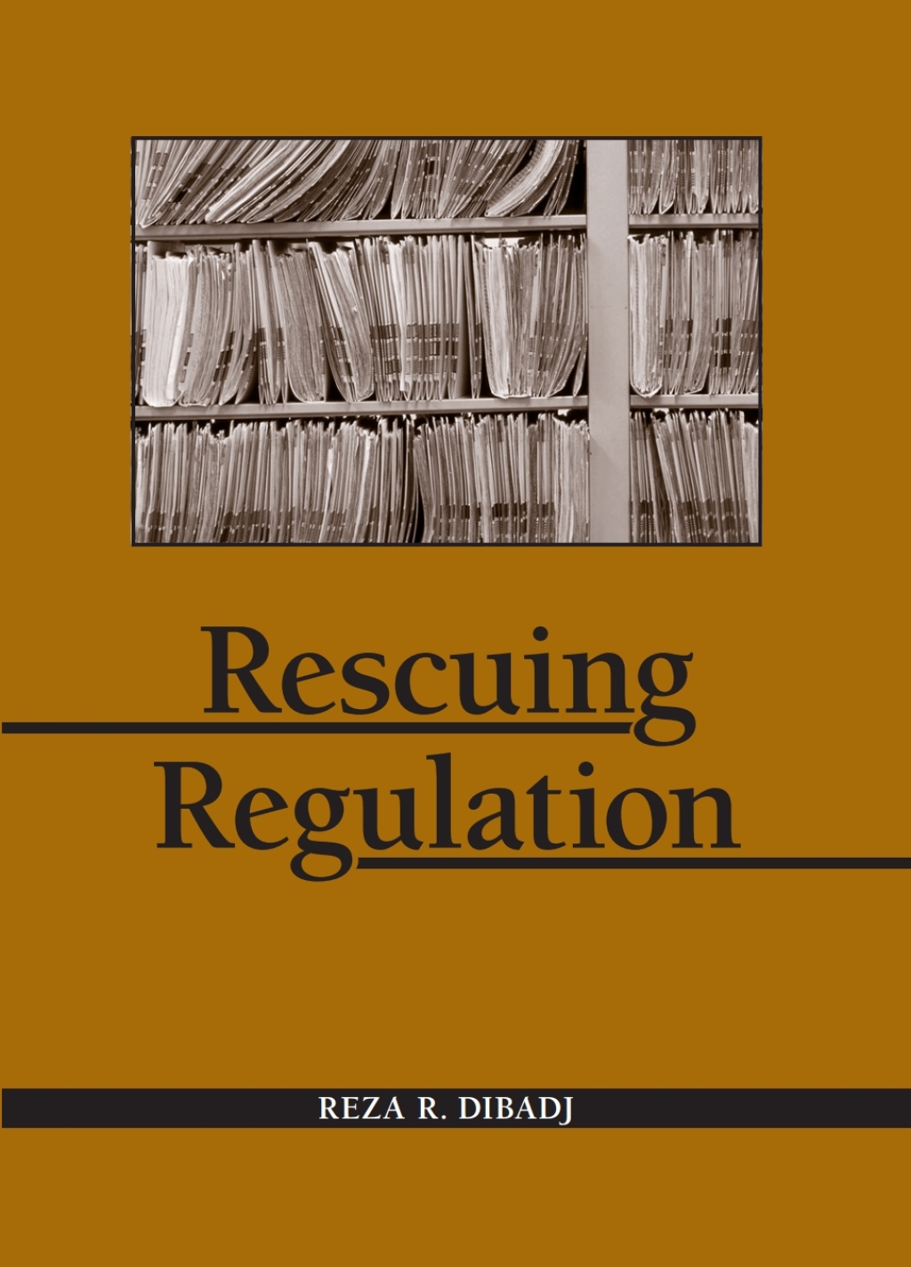 Rescuing Regulation - (PDF/EPUB Version)
