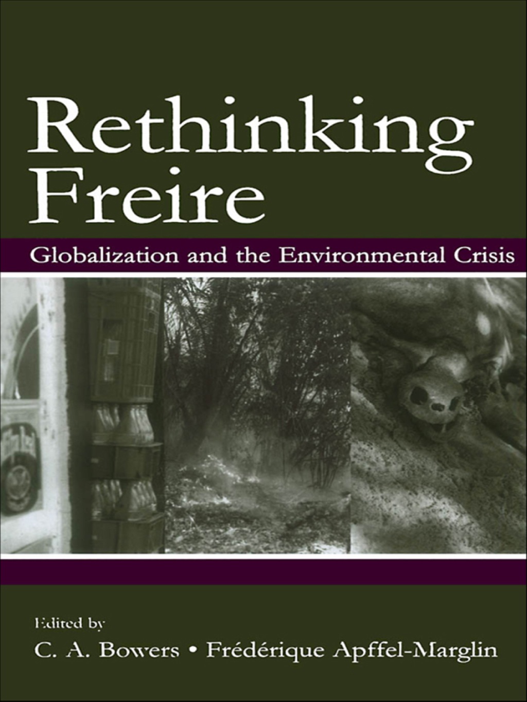 Rethinking Freire Globalization and the Environmental Crisis 1st Edition â€“ PDF/EPUB Version Downloadable