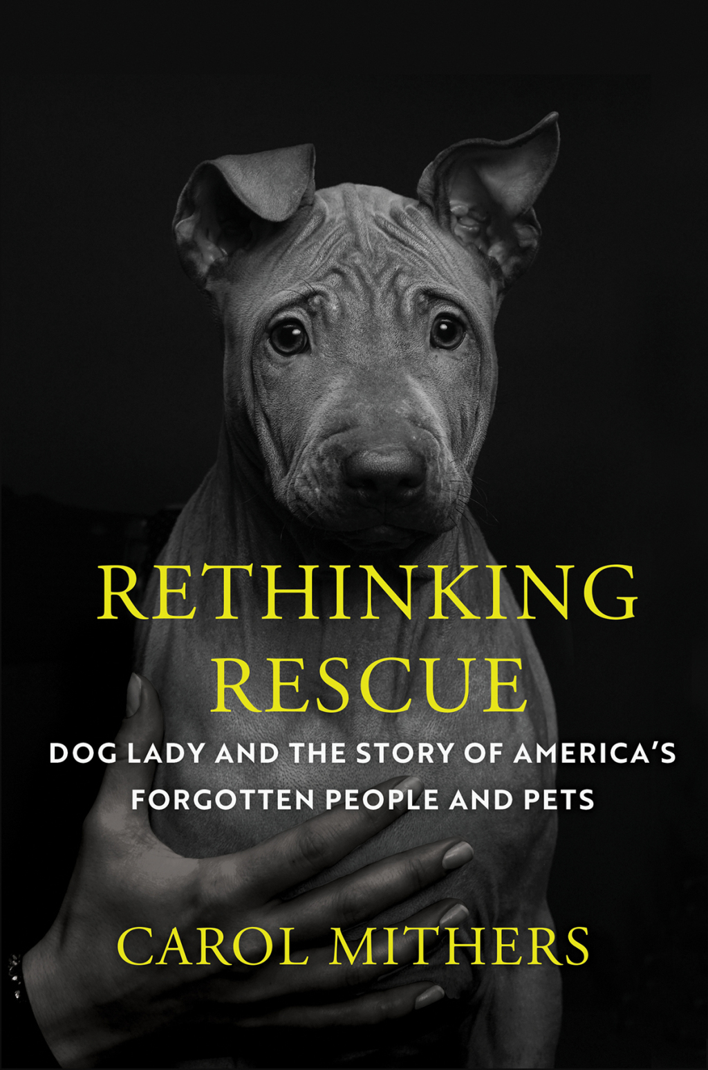 Rethinking Rescue Dog Lady and the Story of America's Forgotten People and Pets - (PDF/EPUB Version)