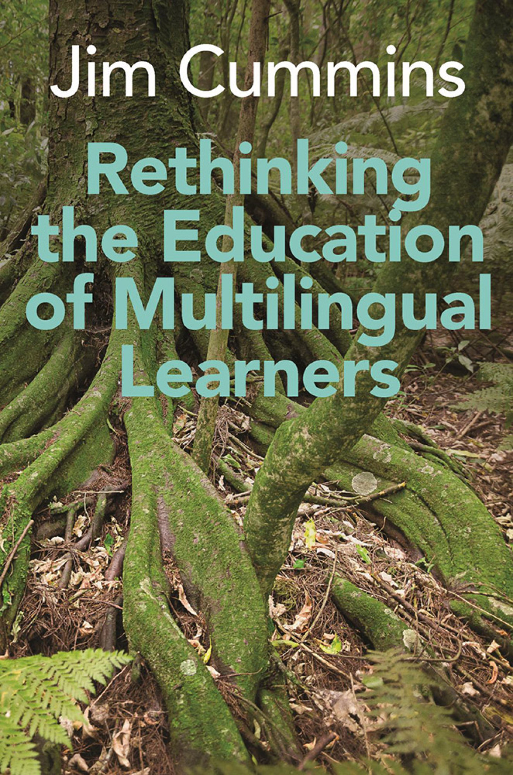 Rethinking the Education of Multilingual Learners A Critical Analysis of Theoretical Concepts 1st Edition - (PDF/EPUB Version)