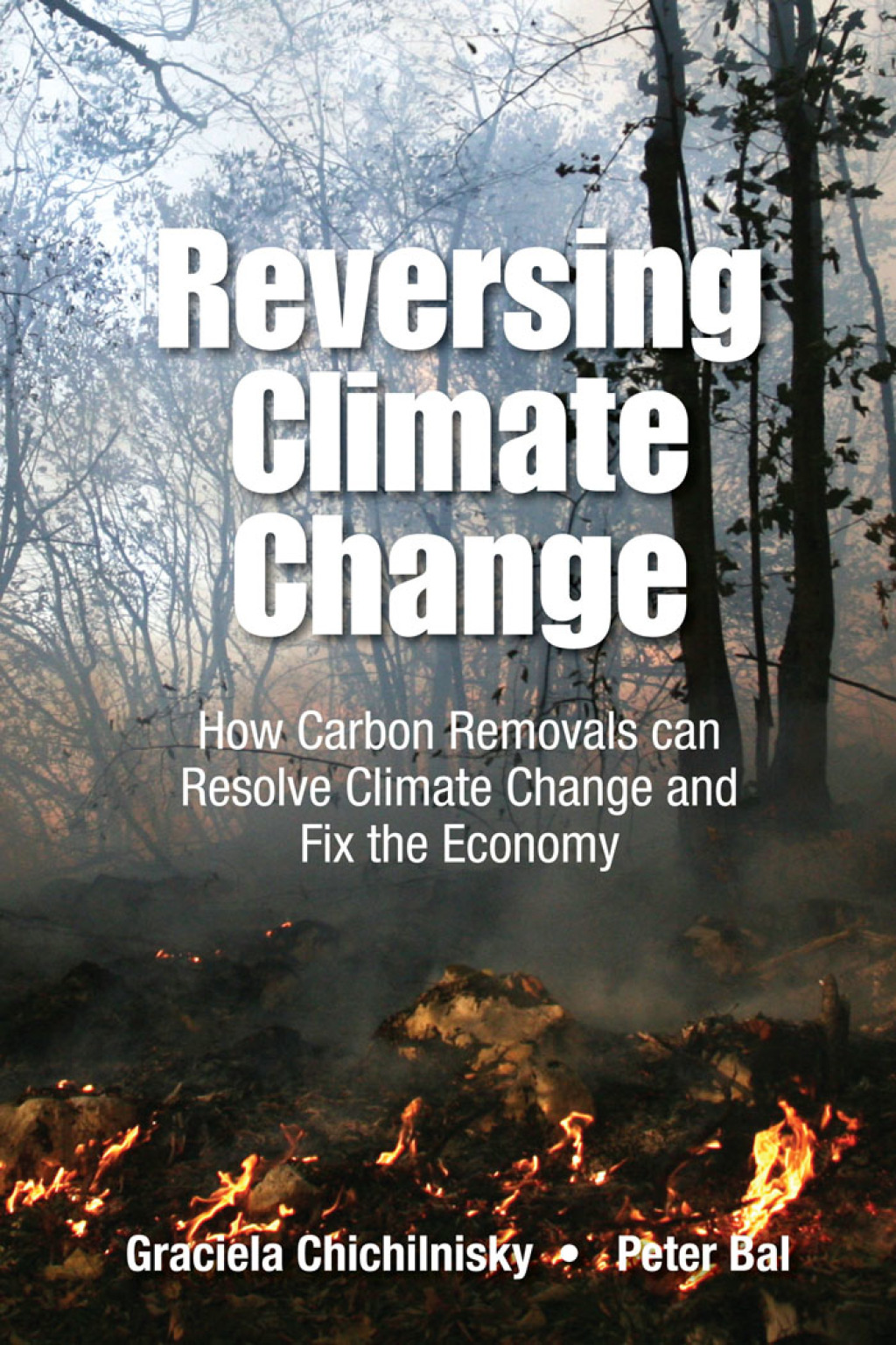 Reversing Climate Change: How Carbon Removals can Resolve Climate Change and Fix the Economy - (PDF/EPUB Version)