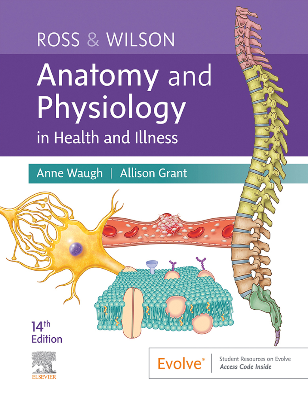 Ross & Wilson Anatomy and Physiology in Health and Illness 14th Edition - (PDF/EPUB Version)