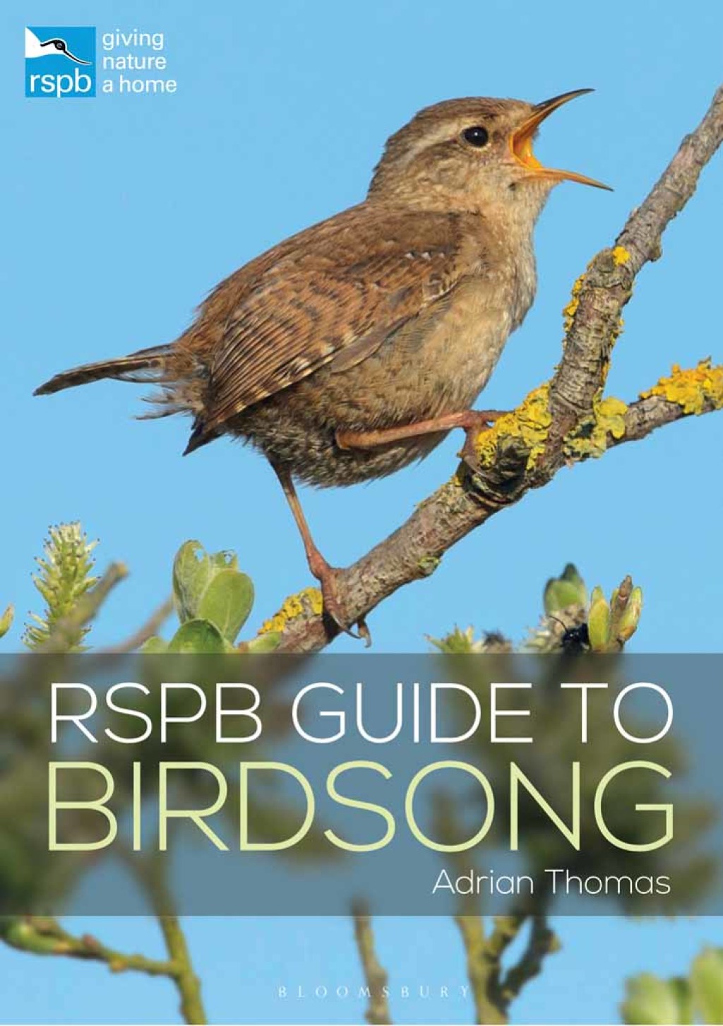 RSPB Guide to Birdsong Social and Cultural Perspectives 1st Edition - (PDF/EPUB Version)