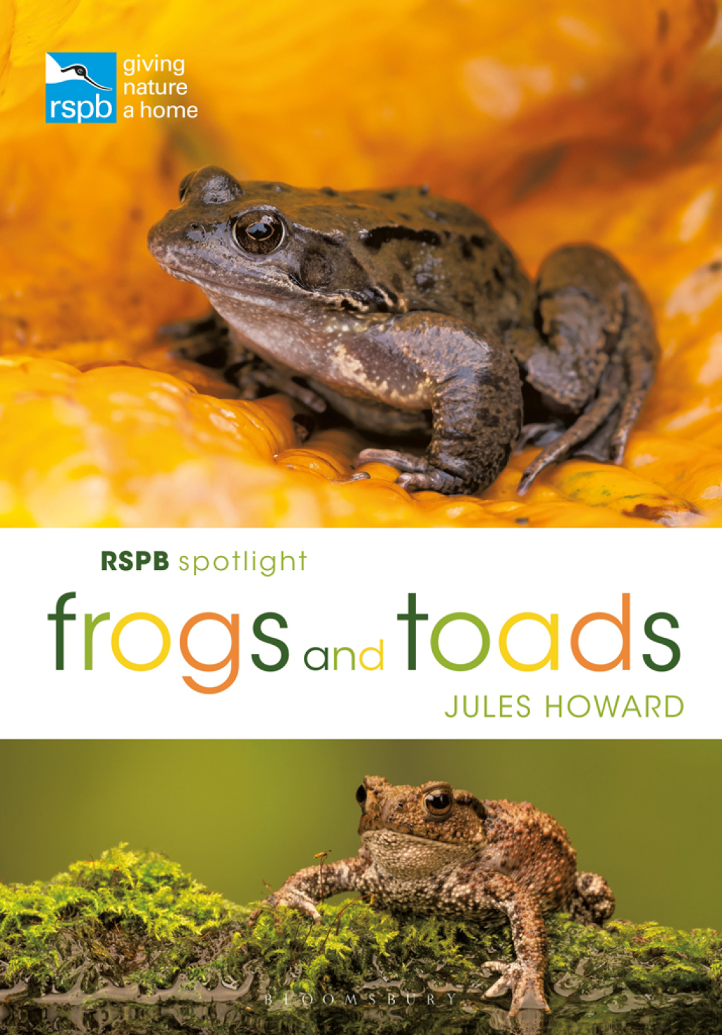 RSPB Spotlight Frogs and Toads 1st Edition - (PDF/EPUB Version)