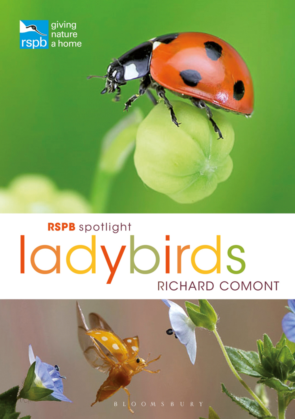 RSPB Spotlight Ladybirds 1st Edition - (PDF/EPUB Version)