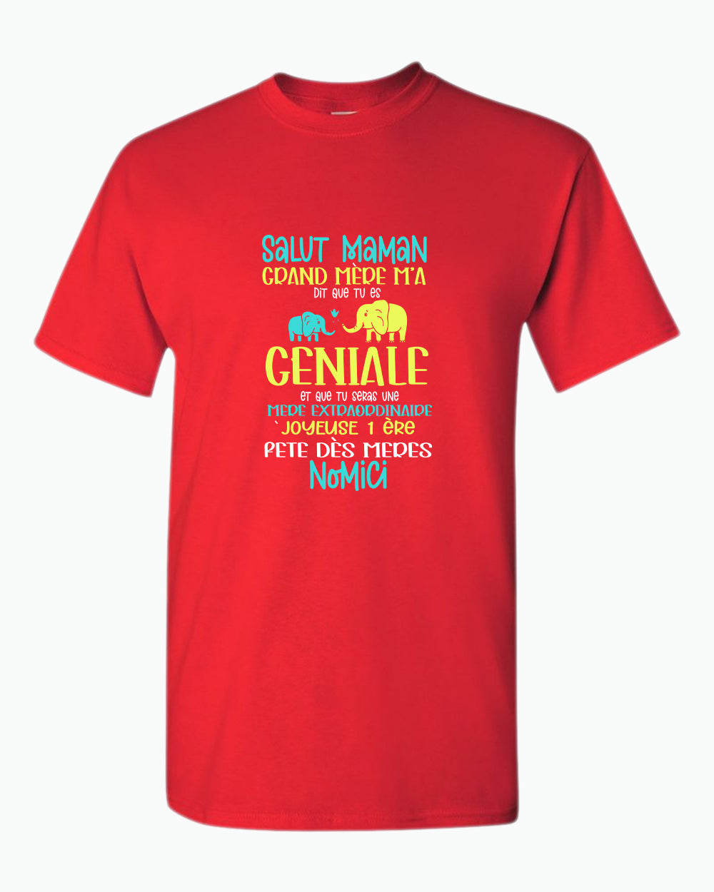 Salut maman grand mere m'a dit que tu es geniale t-shirt, frenc t-shirt, dad tees