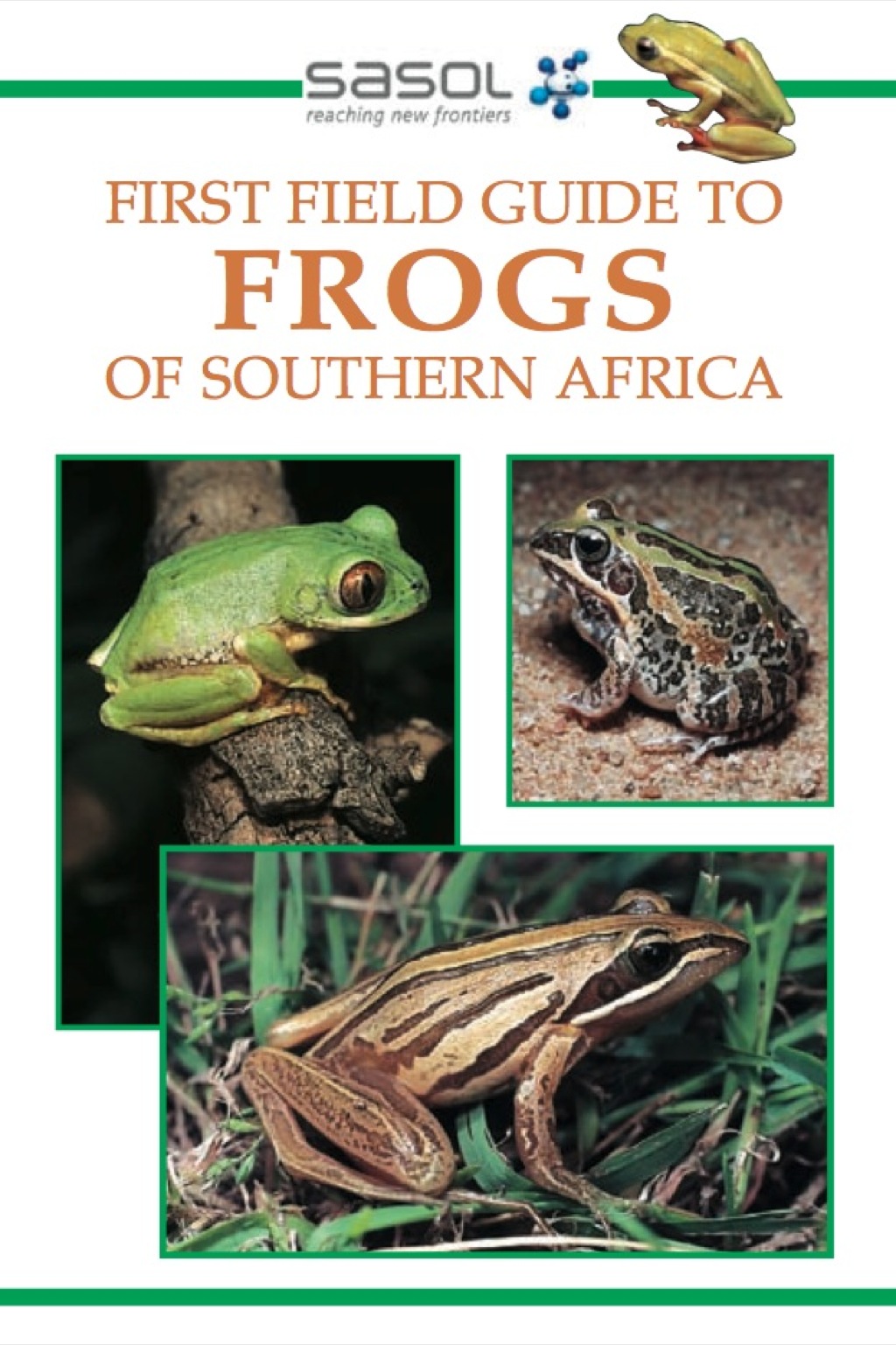 Sasol First Field Guide to Frogs of Southern Africa 2nd Edition - (PDF/EPUB Version)