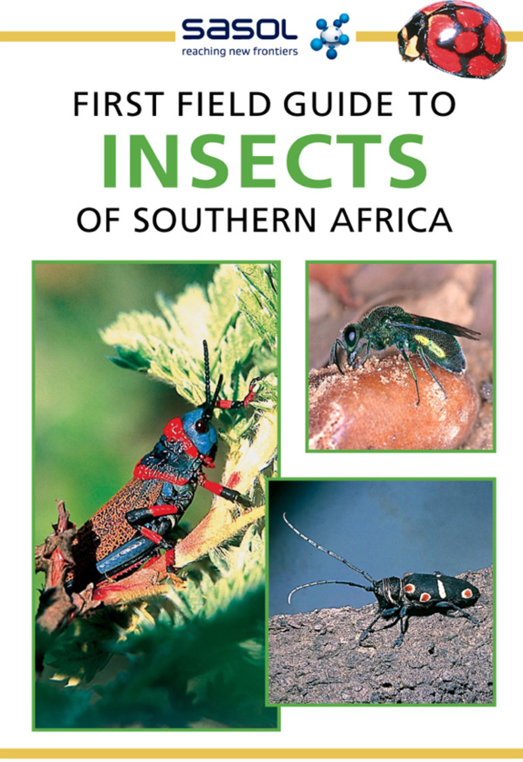 Sasol First Field Guide to Insects of Southern Africa 1st Edition - (PDF/EPUB Version)
